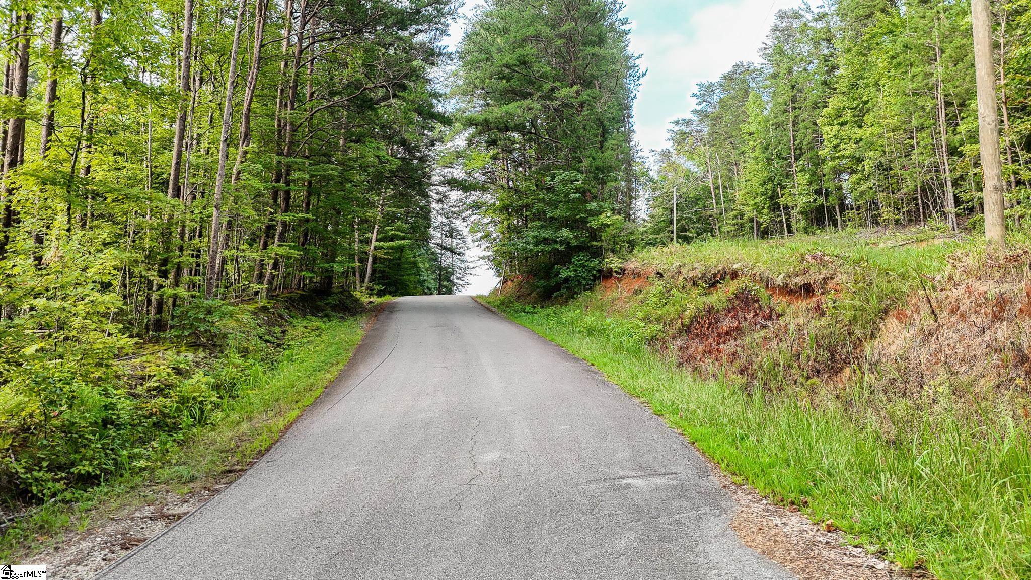 00 Pittman Road Landrum, SC 29356