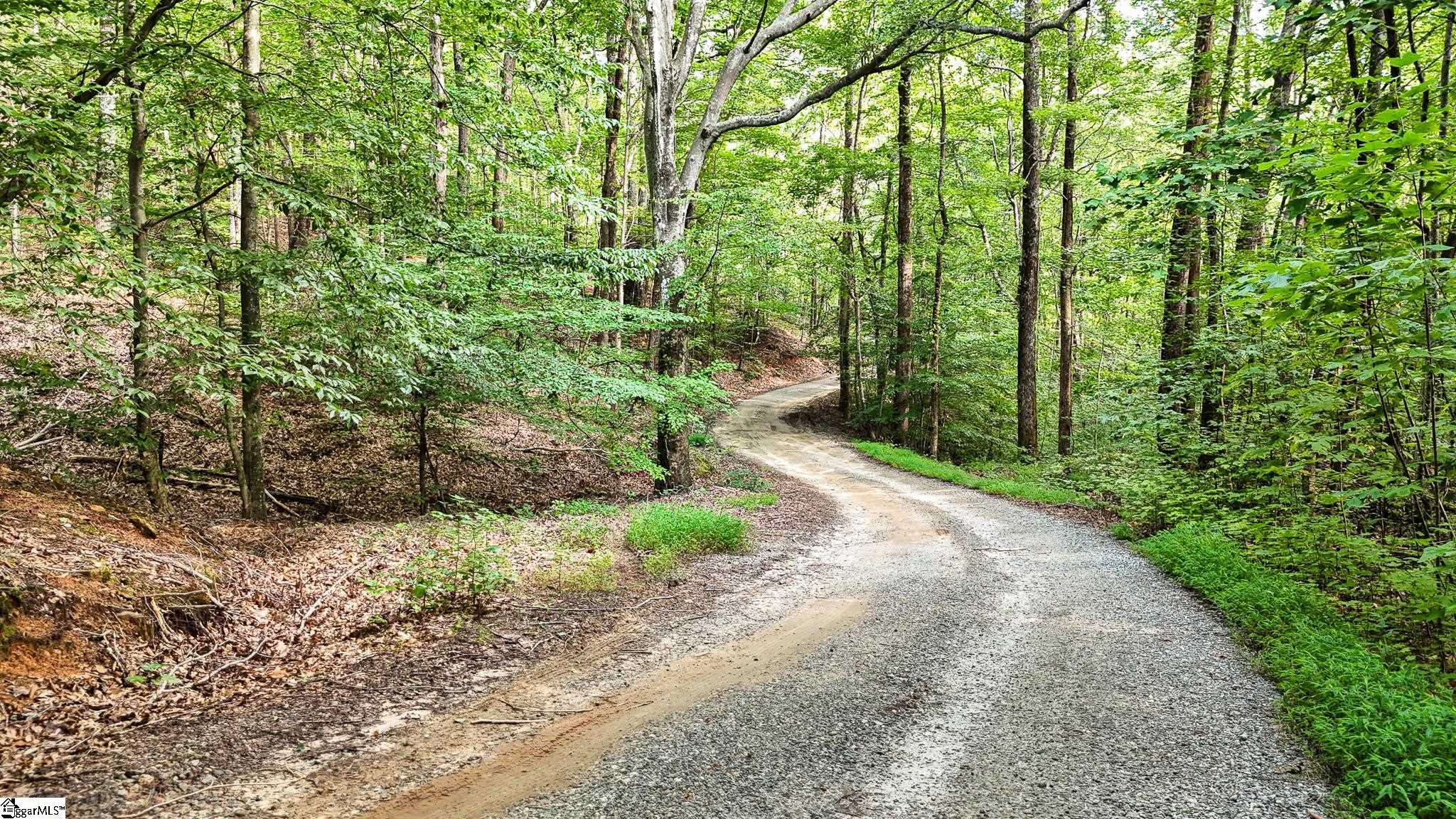 00 Pittman Road Landrum, SC 29356