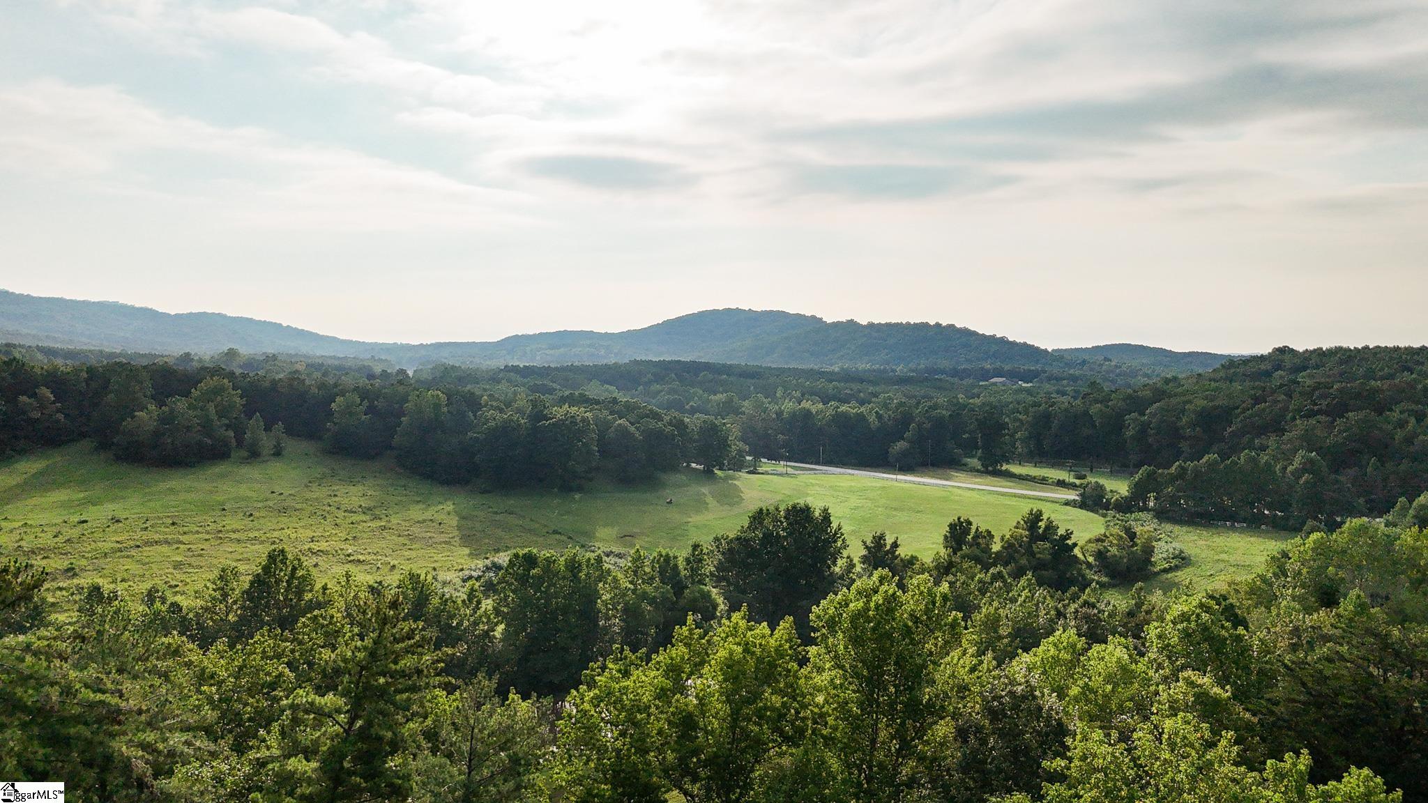 00 Pittman Road Landrum, SC 29356