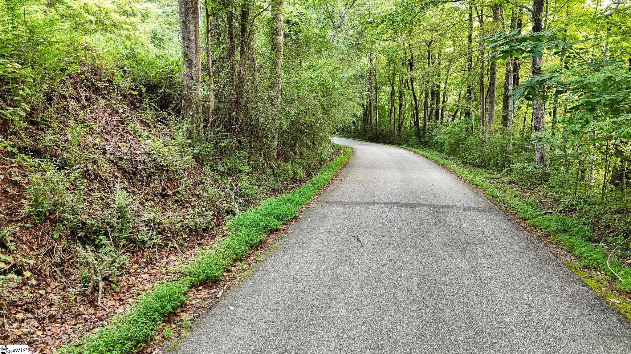 00 Pittman Road Landrum, SC 29356