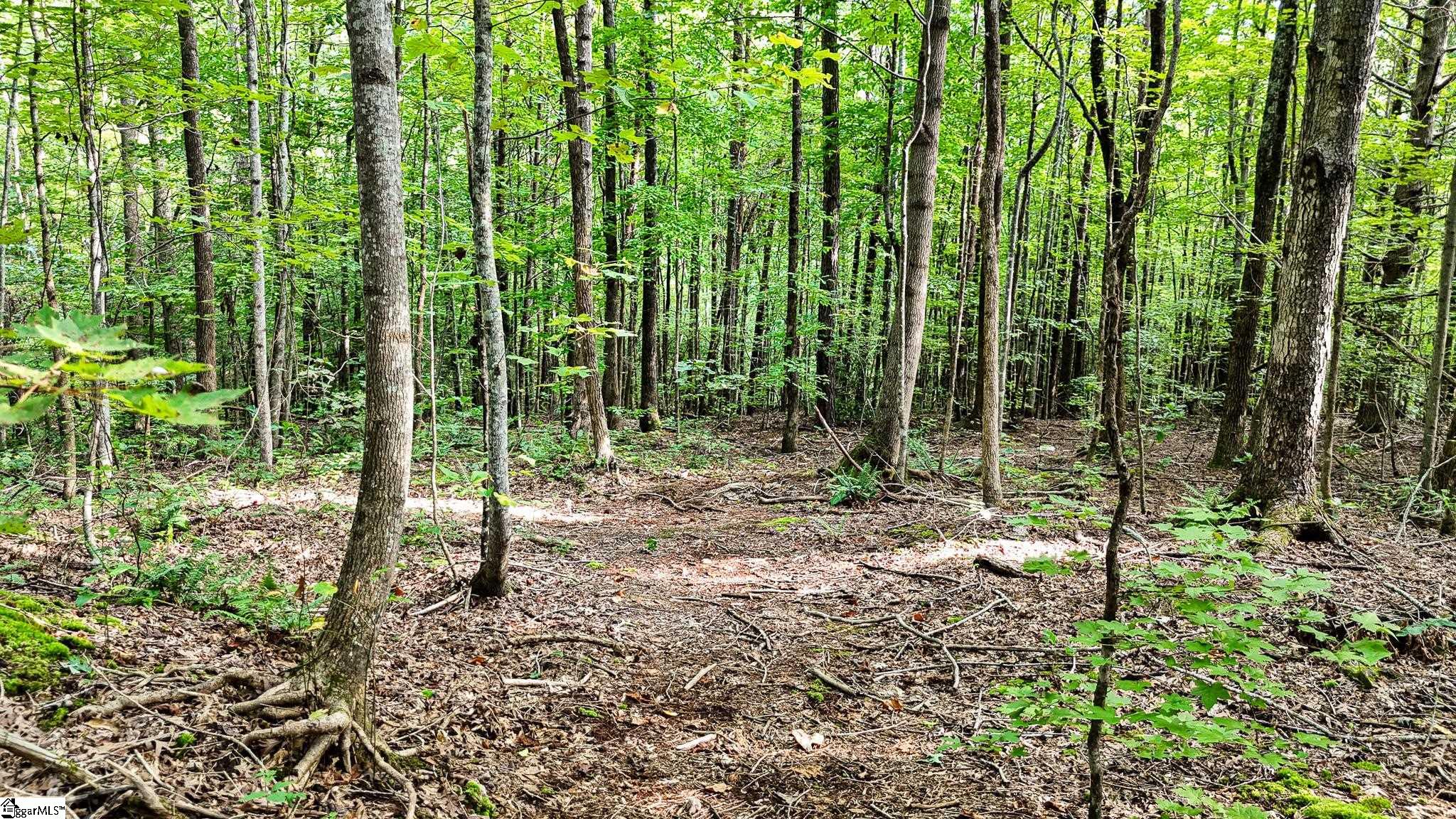 00 Pittman Road Landrum, SC 29356
