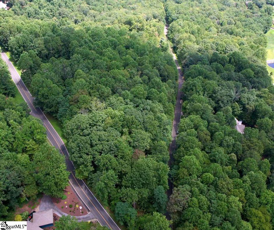 00 Snap Dragon Way UNIT Lot 41 Landrum, SC 29356