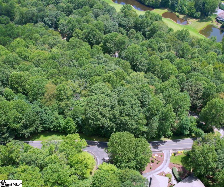 00 Snap Dragon Way UNIT Lot 41 Landrum, SC 29356
