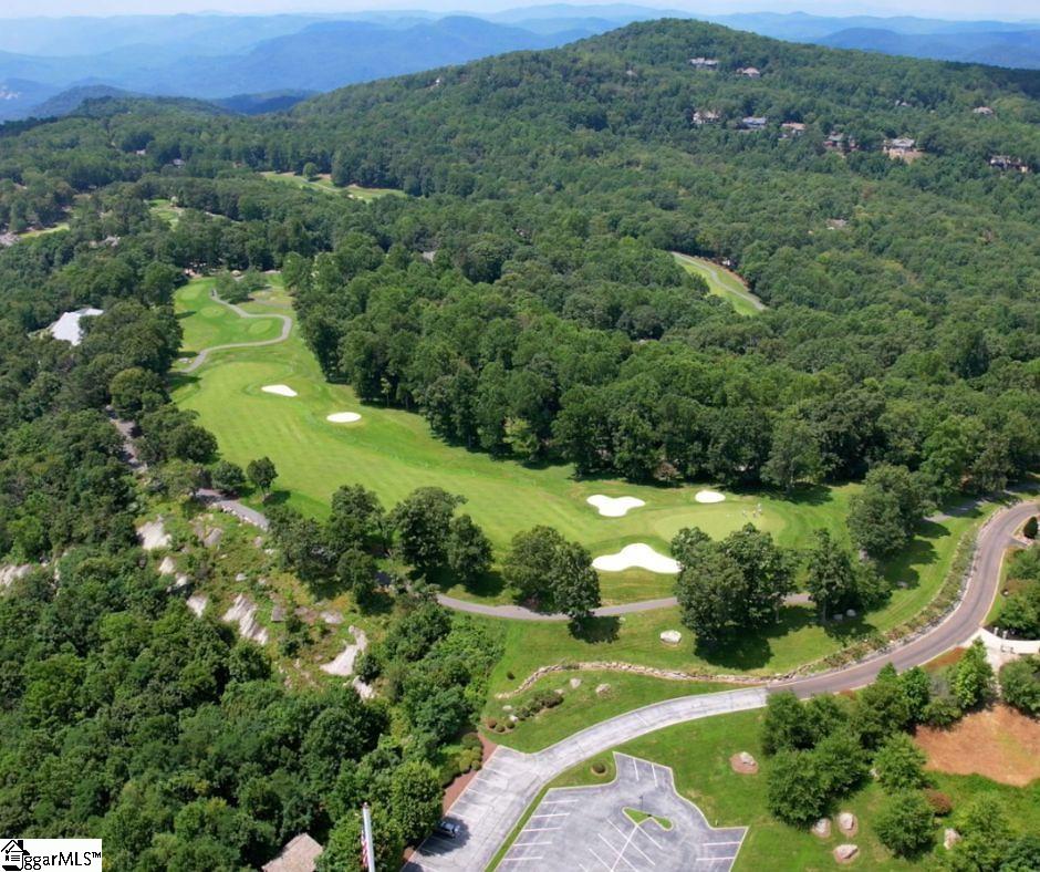 00 Snap Dragon Way UNIT Lot 41 Landrum, SC 29356
