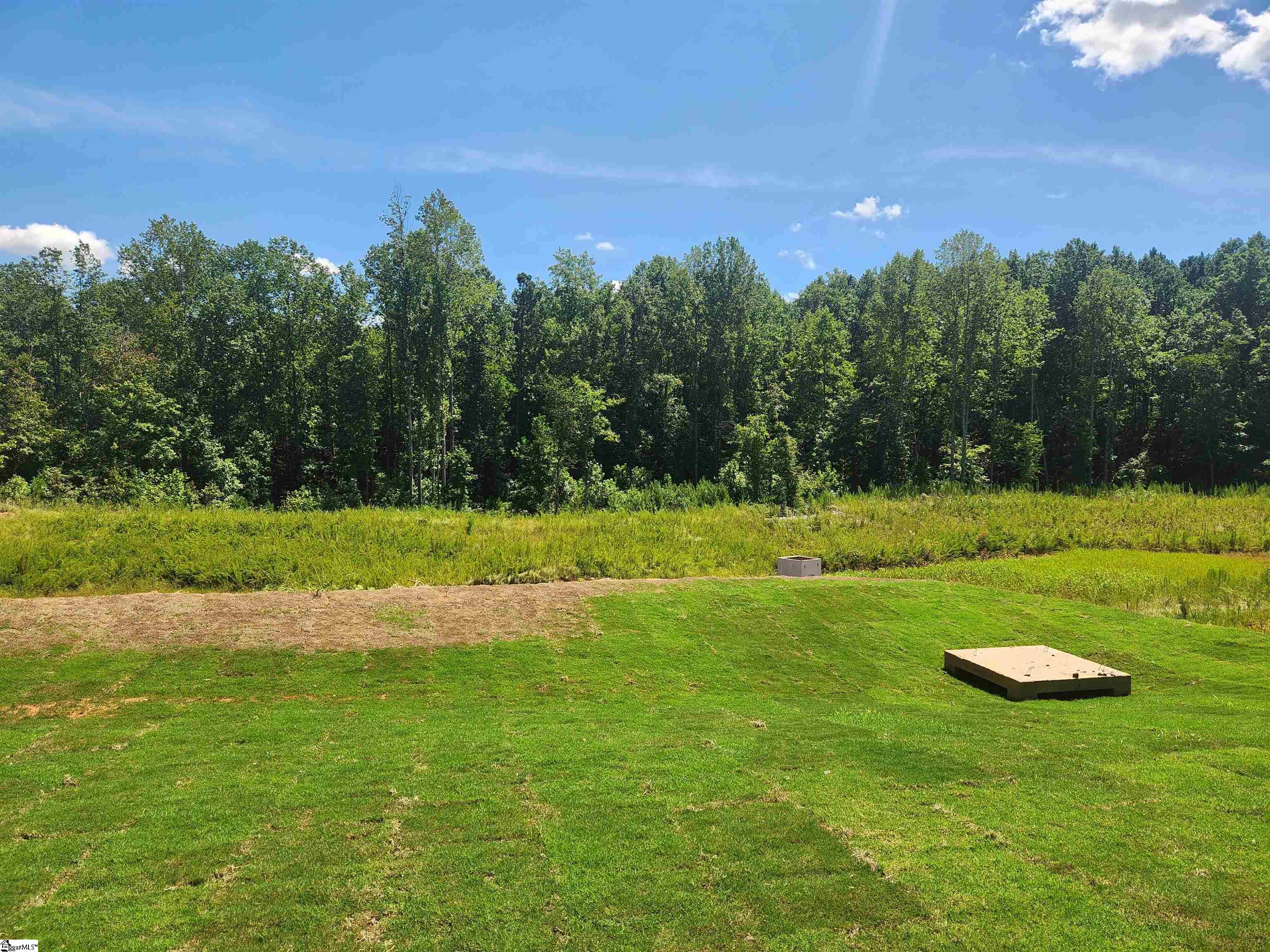 588 Landseer Drive Landrum, SC 29356