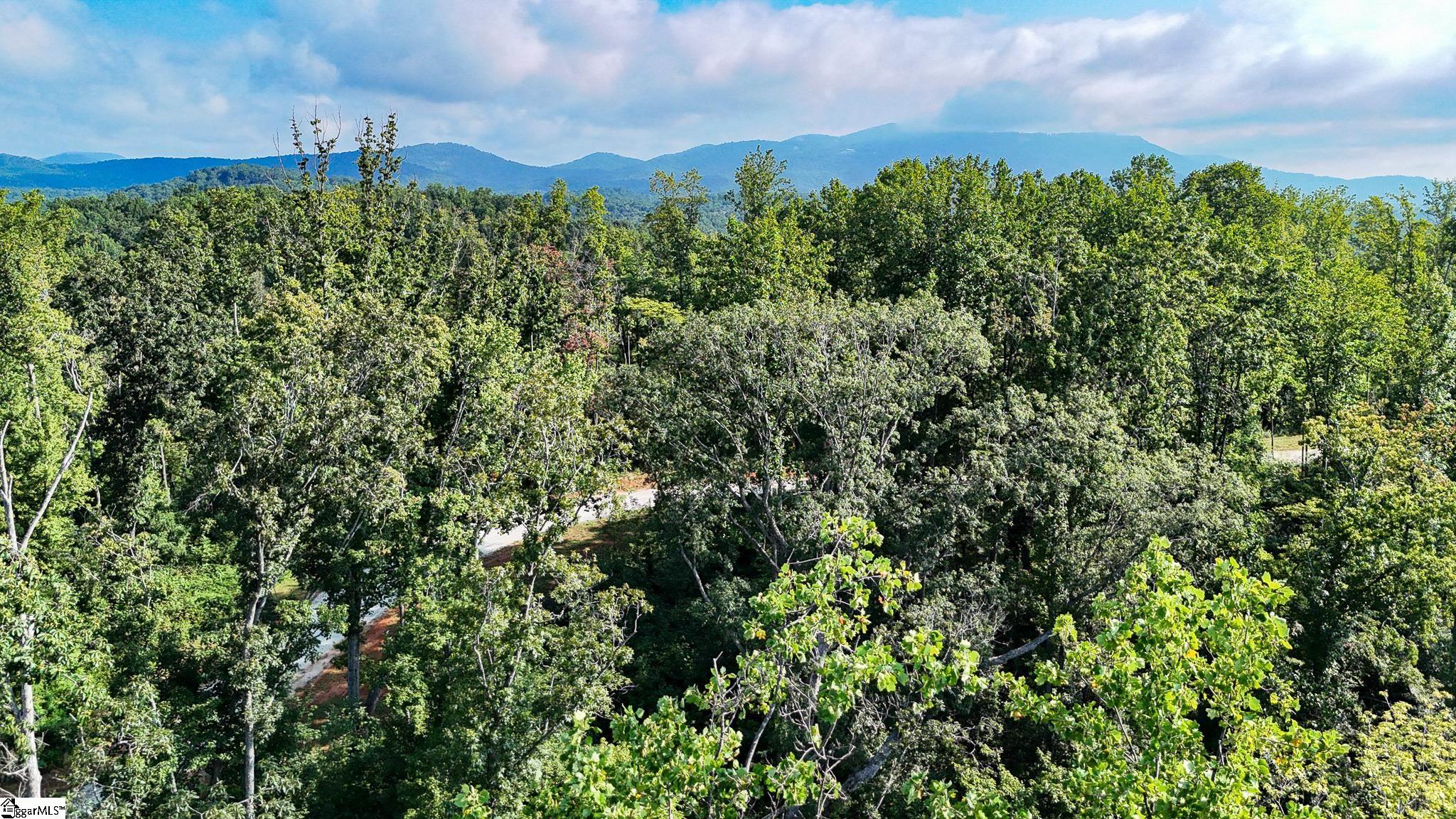 502 Chinquapin Road Travelers Rest, SC 29690