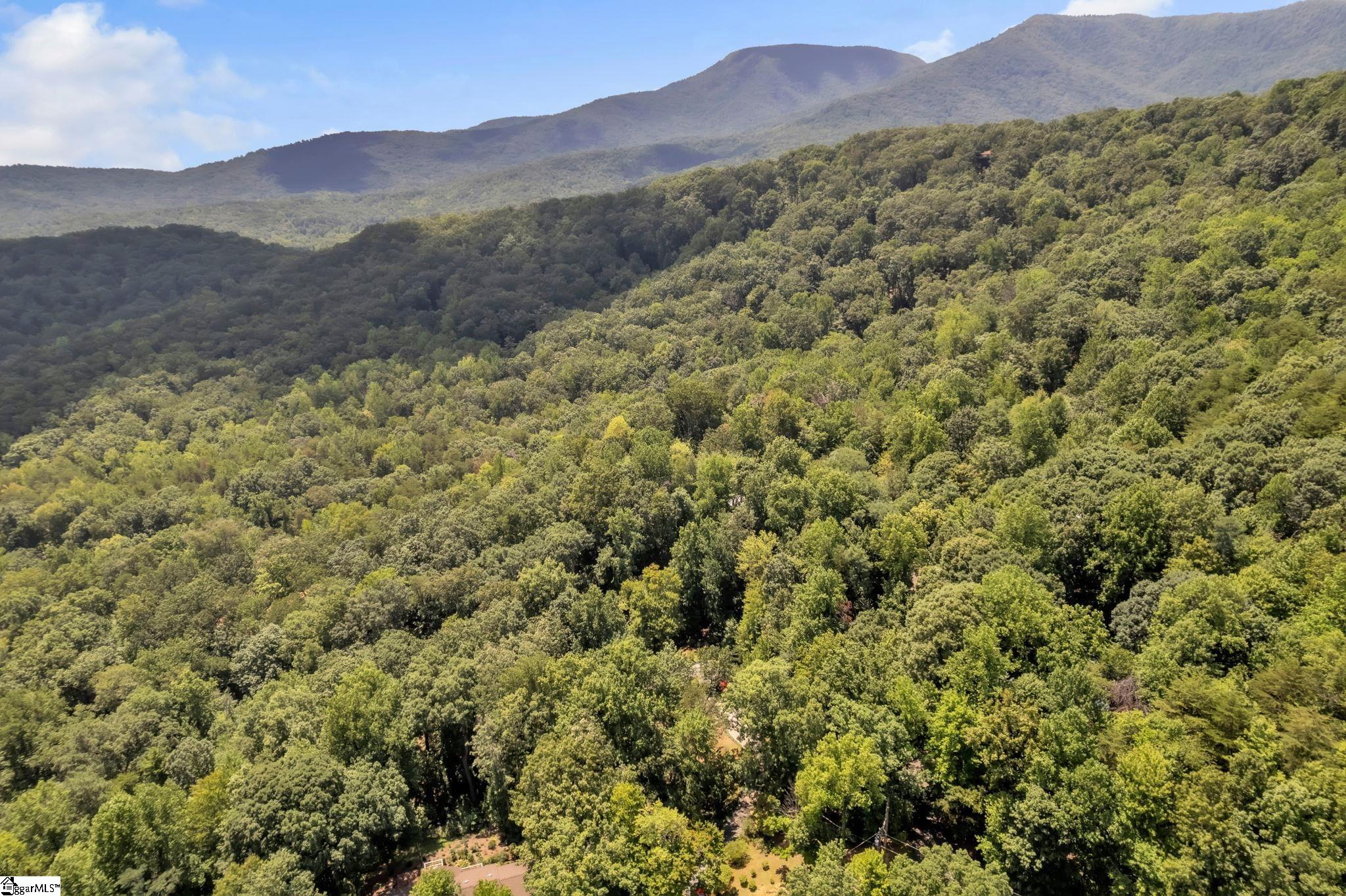 410 Dogwood Trail Tryon, NC 28782