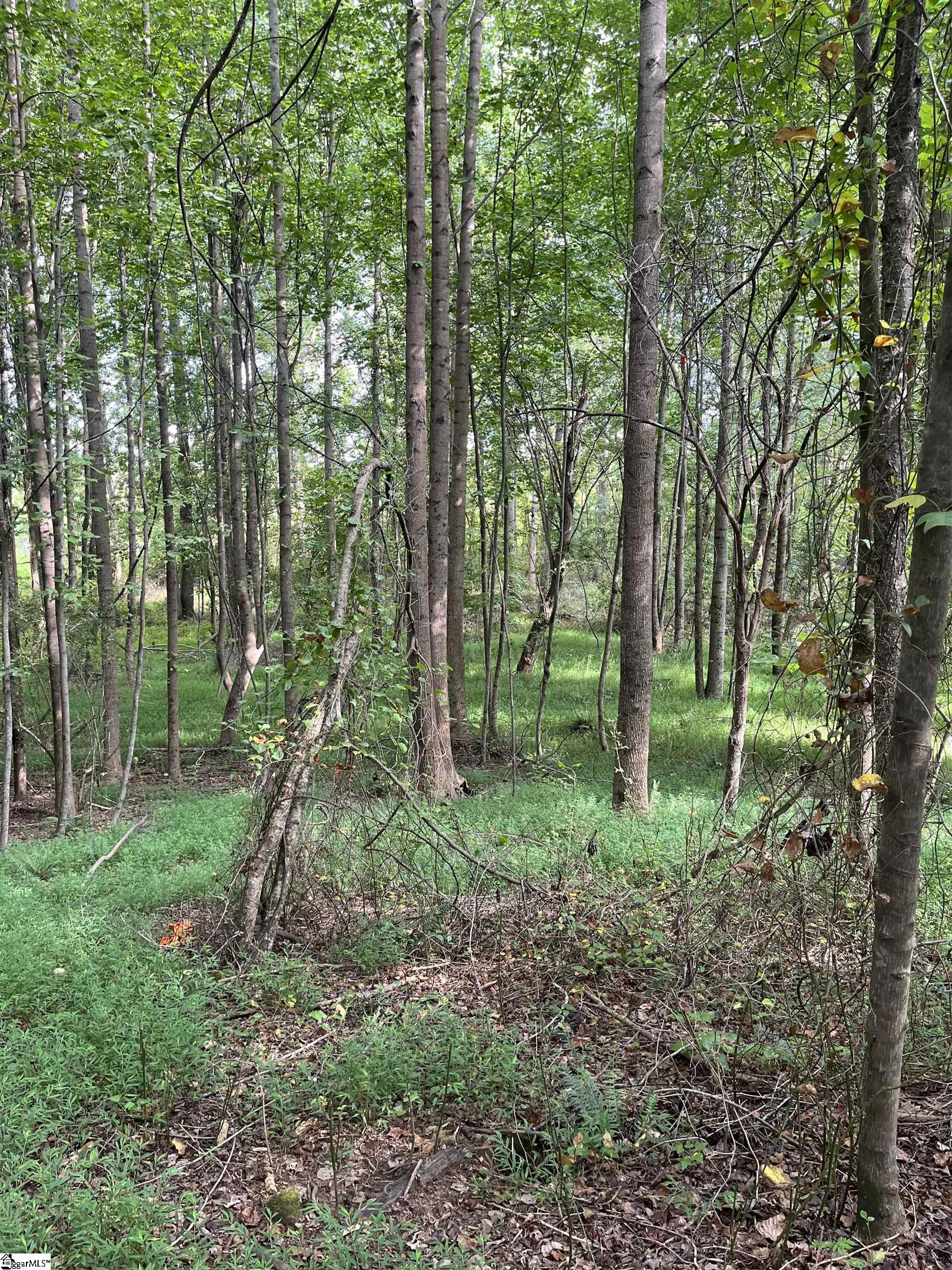 69 Lamb Road Lyman, SC 29365
