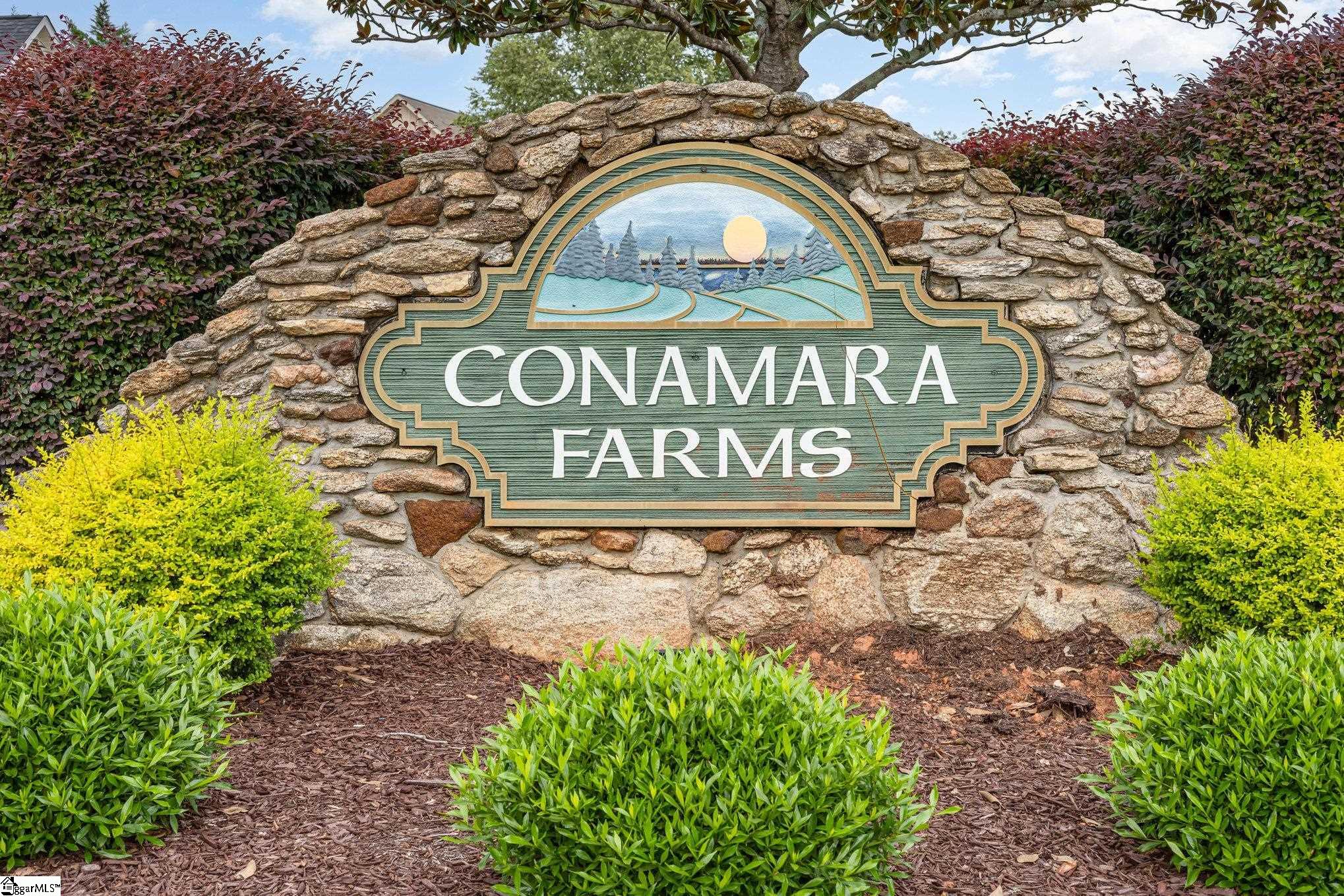 715 Tenerriffe Court Woodruff, SC 29388
