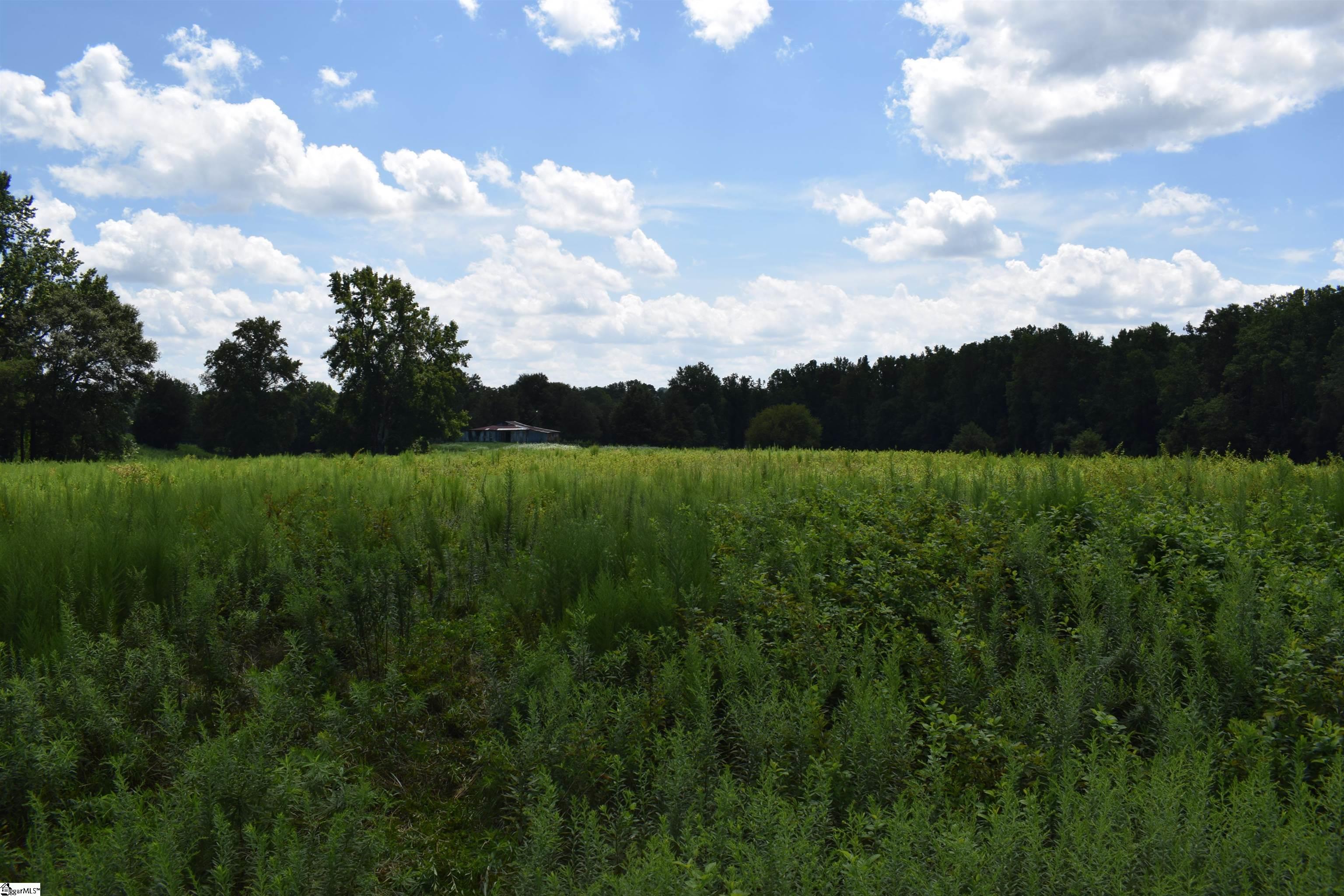 8141 Highway 357 Campobello, SC 29322