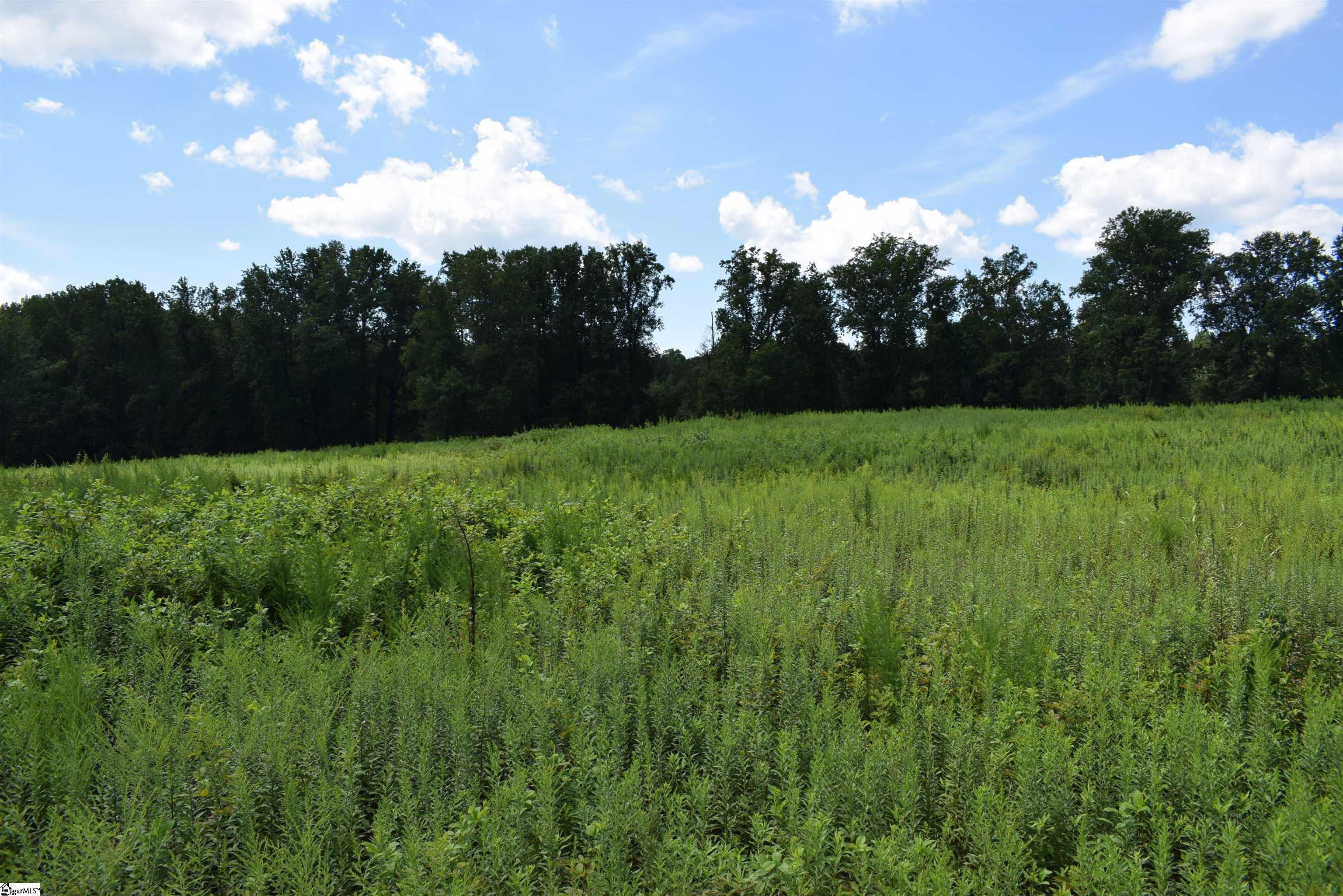 8141 Highway 357 Campobello, SC 29322