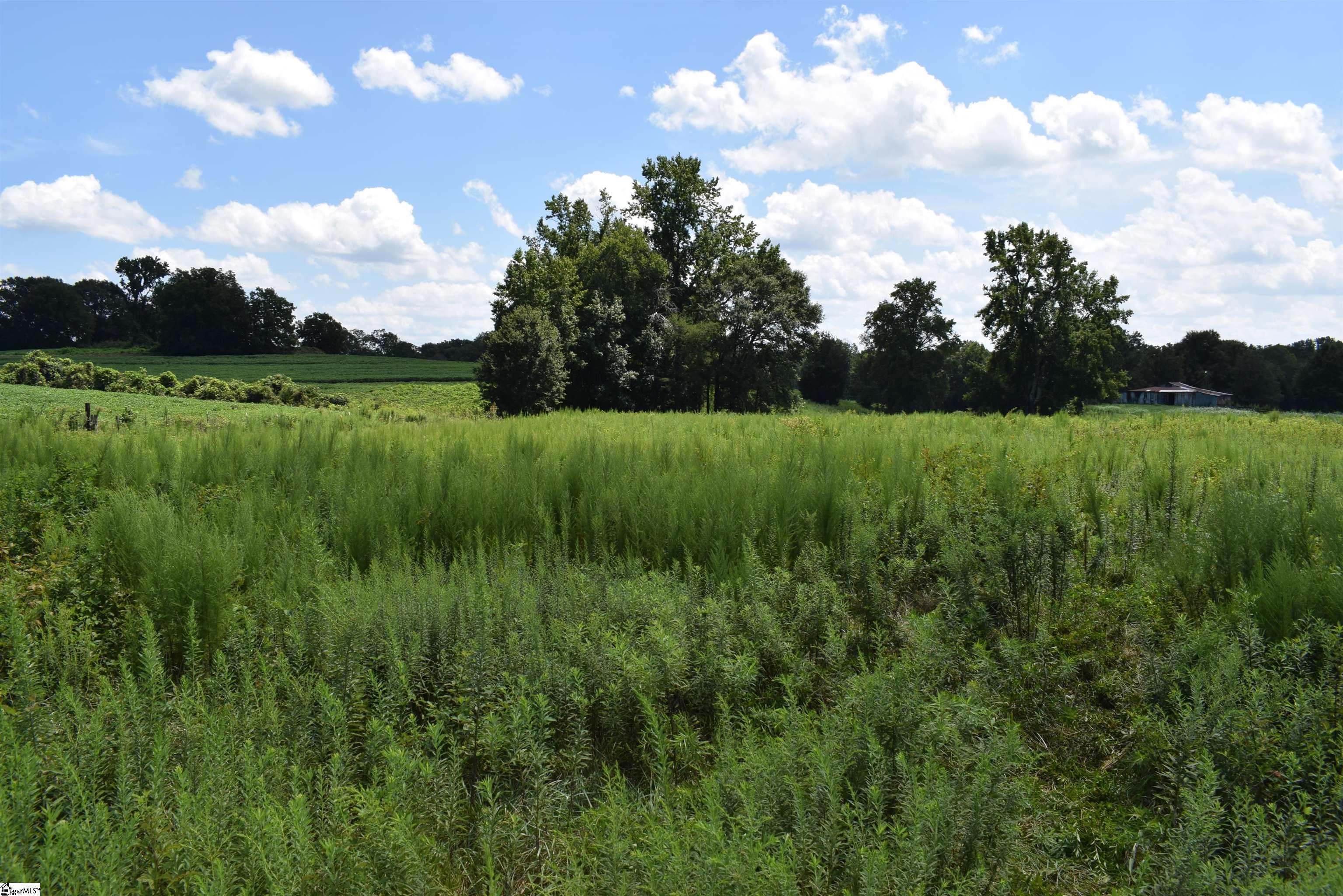 8141 Highway 357 Campobello, SC 29322