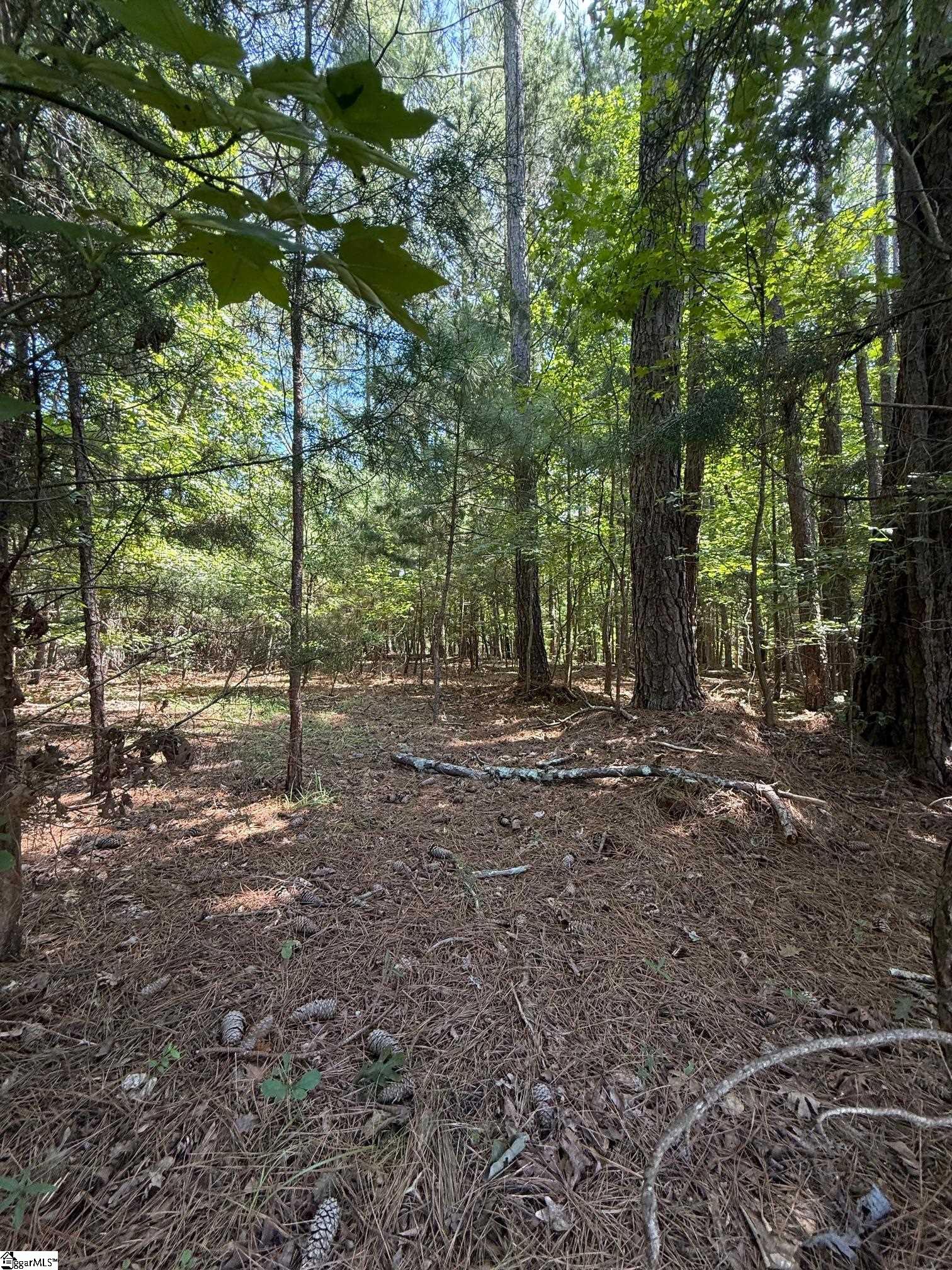 00 Trey Lane Ware Shoals, SC 29692