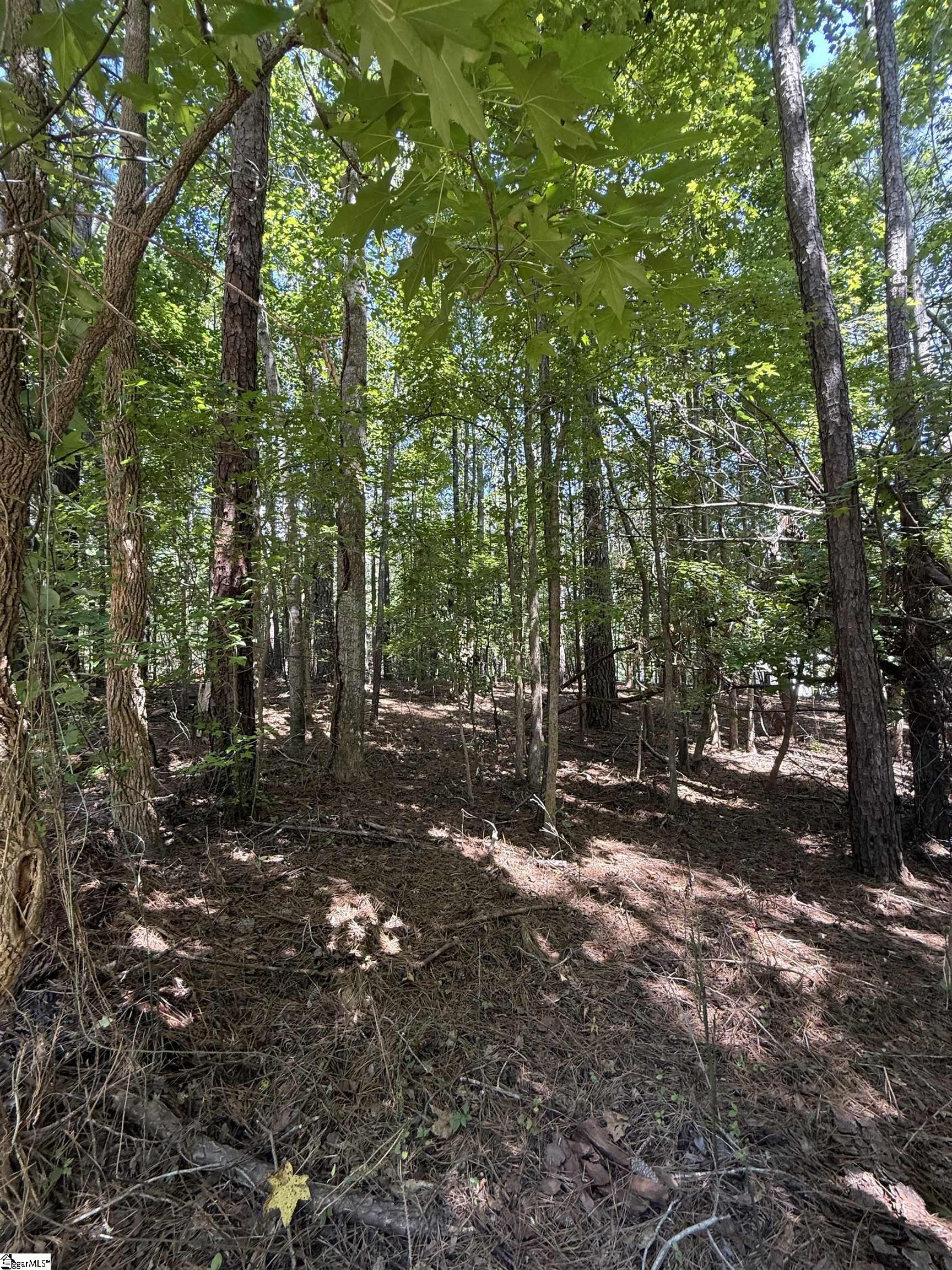 00 Trey Lane Ware Shoals, SC 29692
