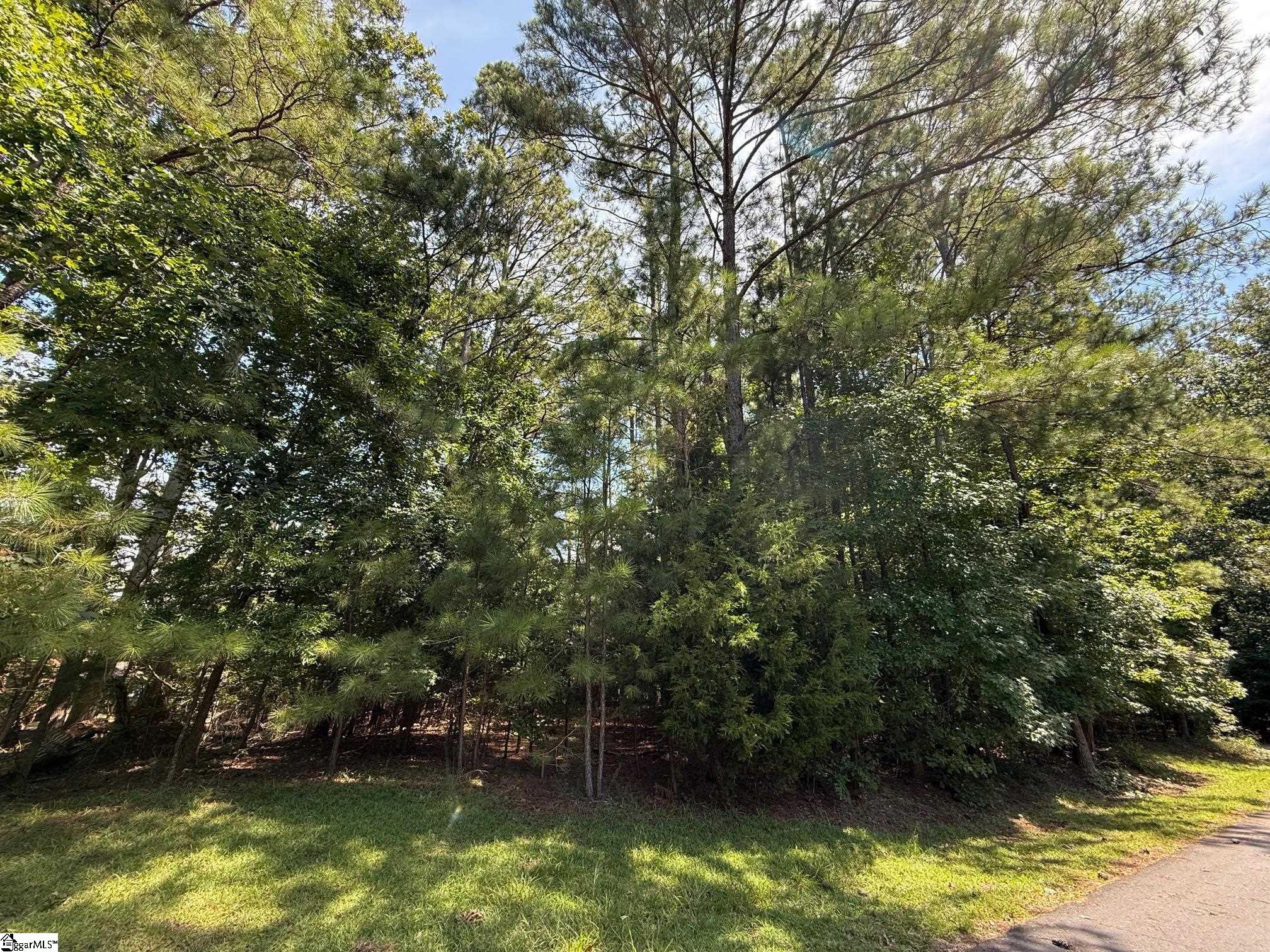 00 Trey Lane Ware Shoals, SC 29692