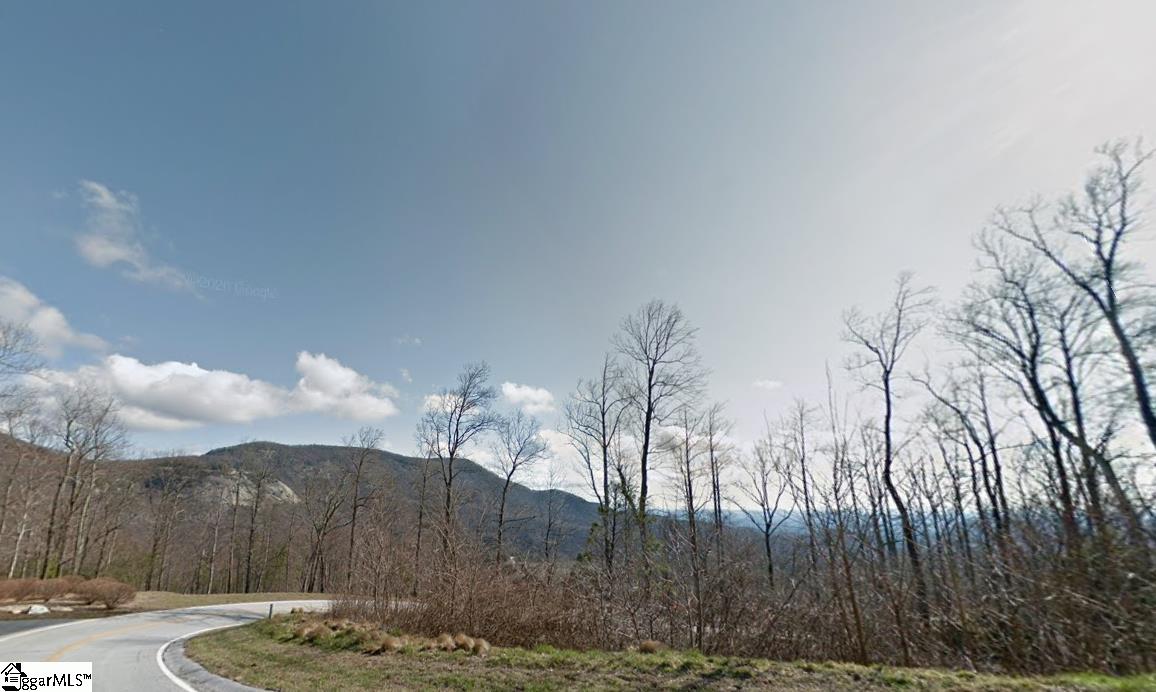 45 Foggy Cut Lane Landrum, SC 29356