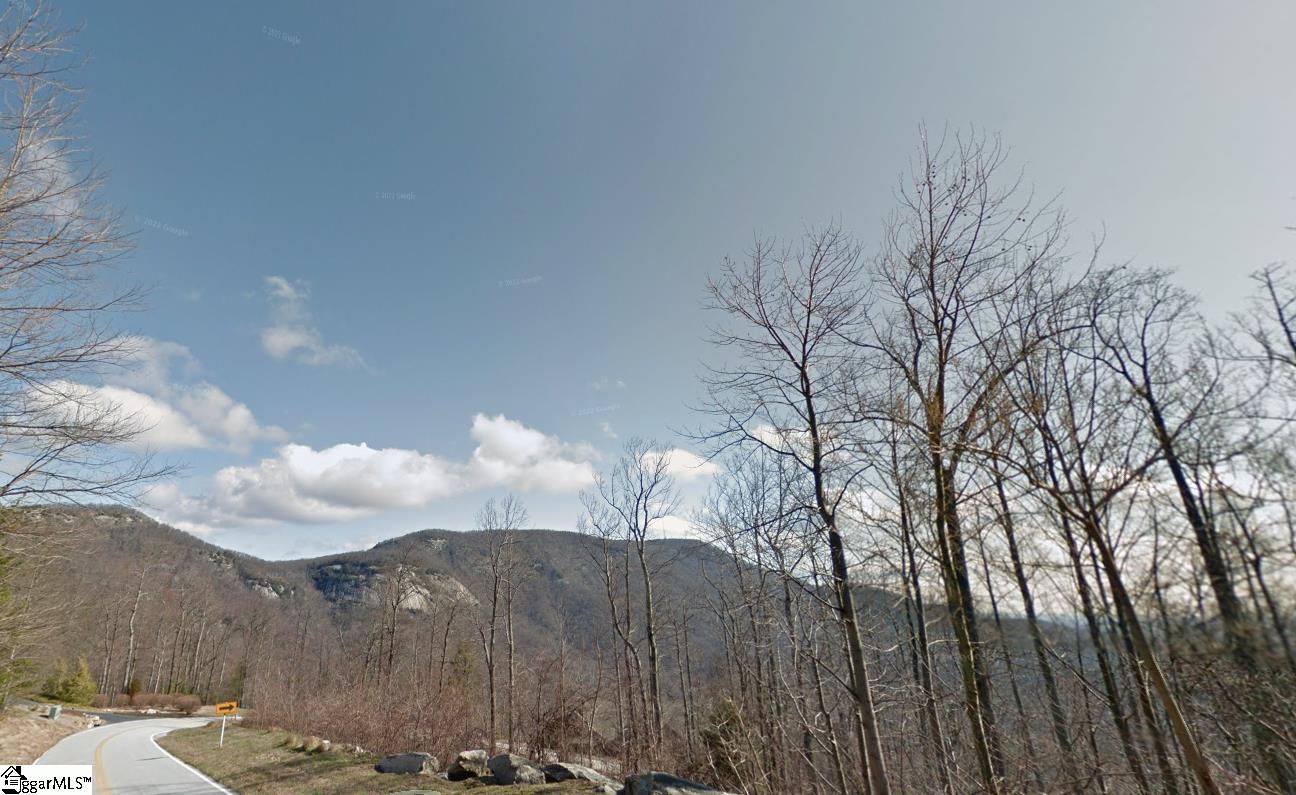 45 Foggy Cut Lane Landrum, SC 29356