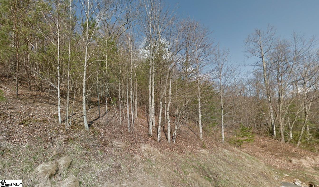45 Foggy Cut Lane Landrum, SC 29356
