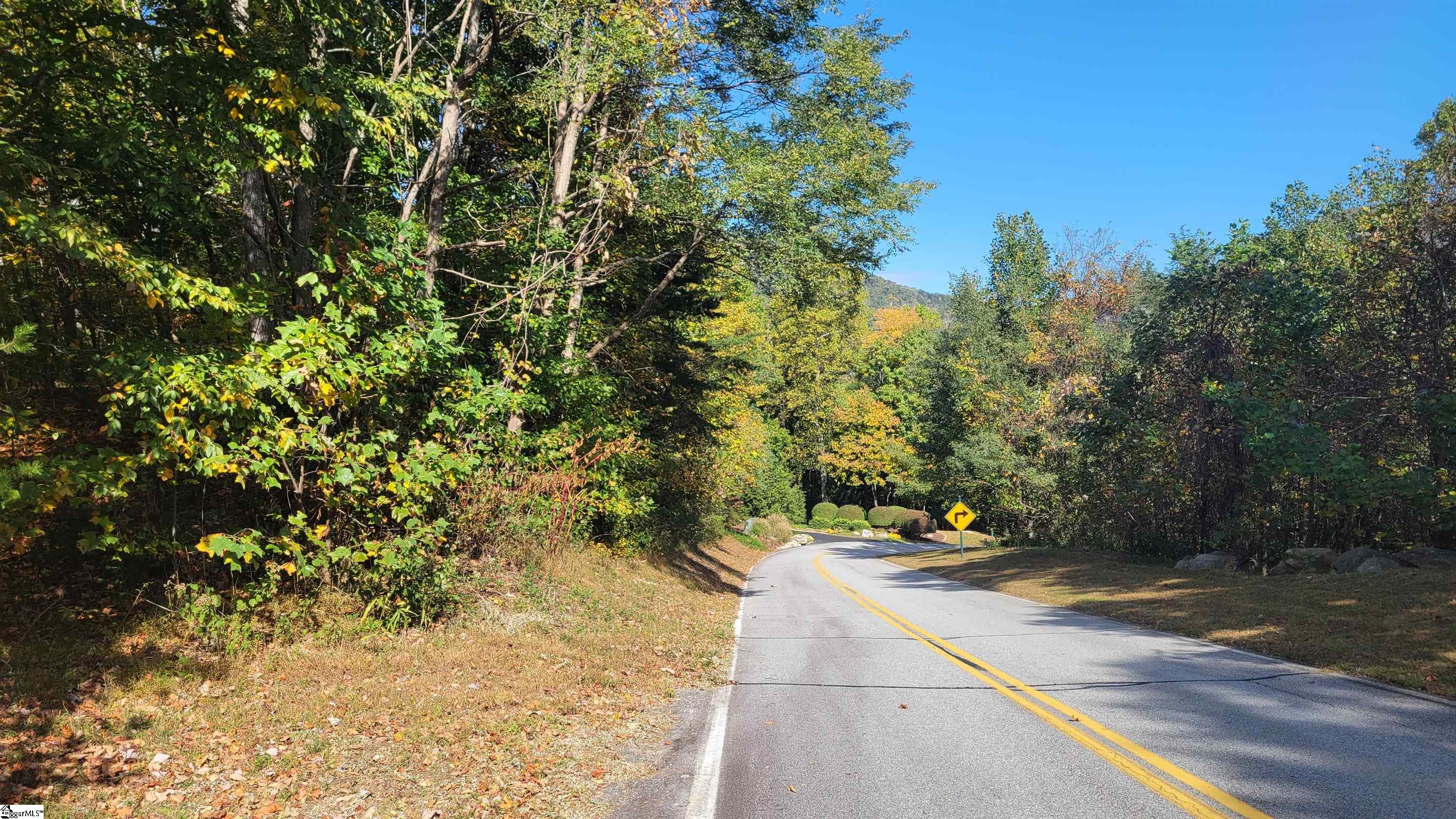 45 Foggy Cut Lane Landrum, SC 29356