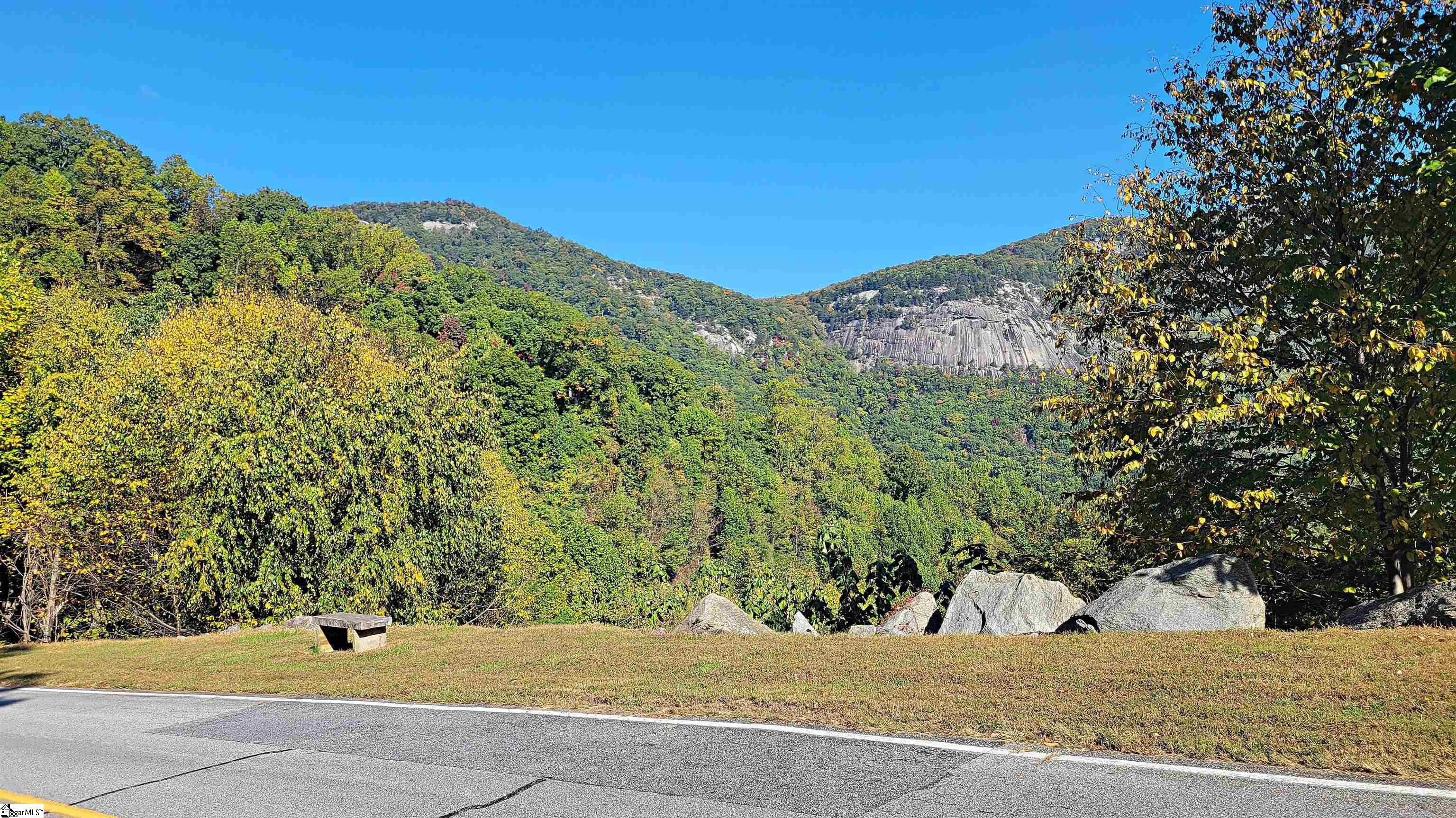 45 Foggy Cut Lane Landrum, SC 29356
