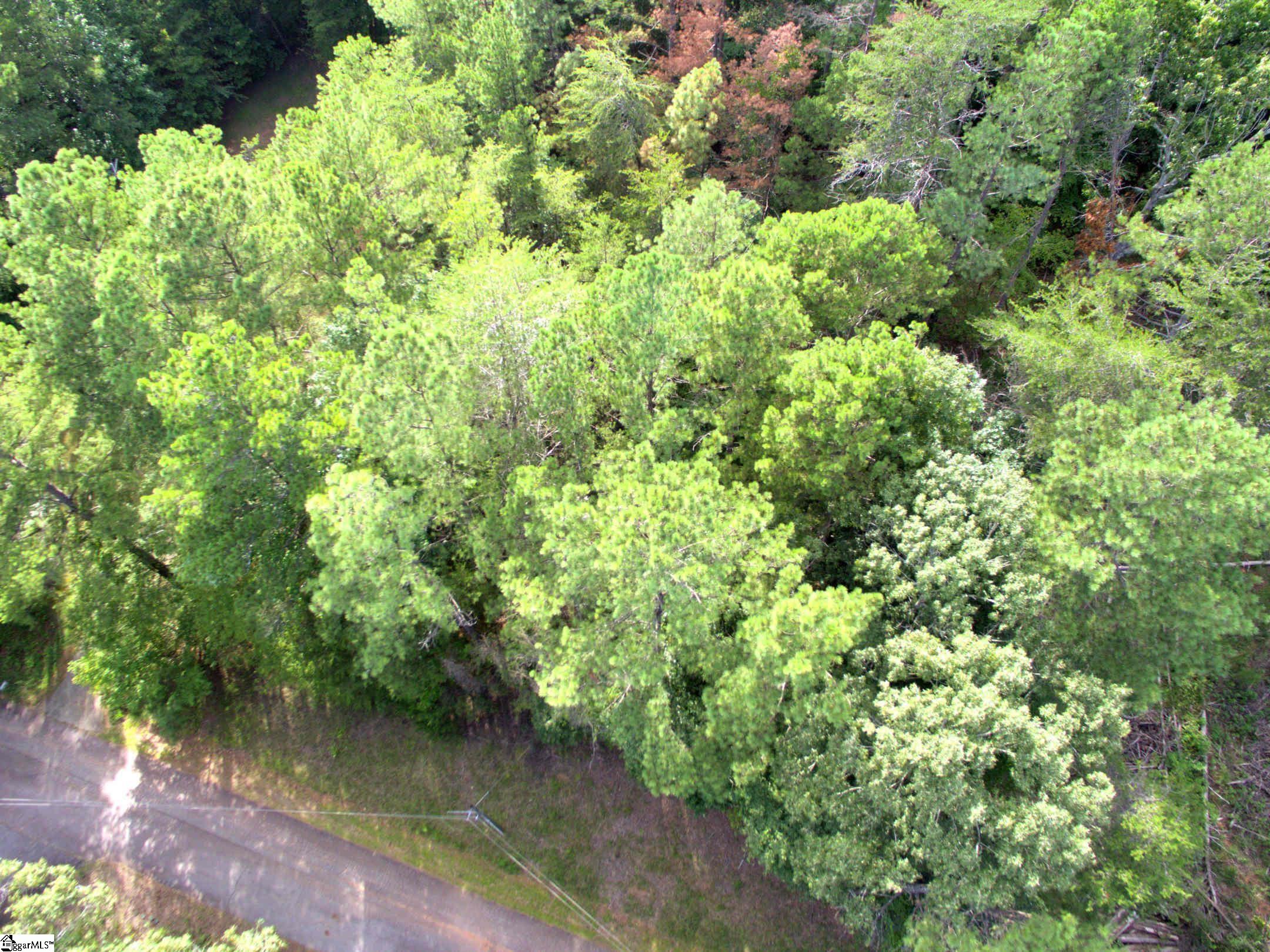 Holden Drive Westminster, SC 29693