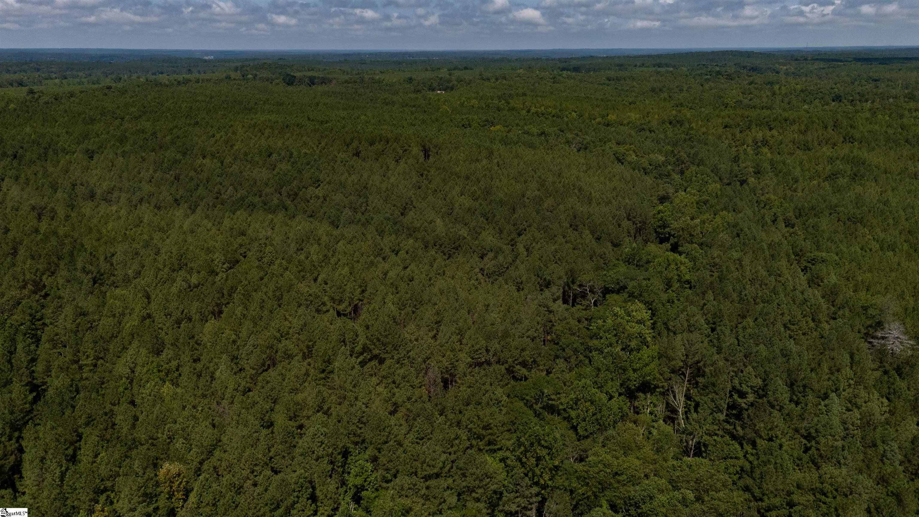 S Highway 221 Waterloo, SC 29384