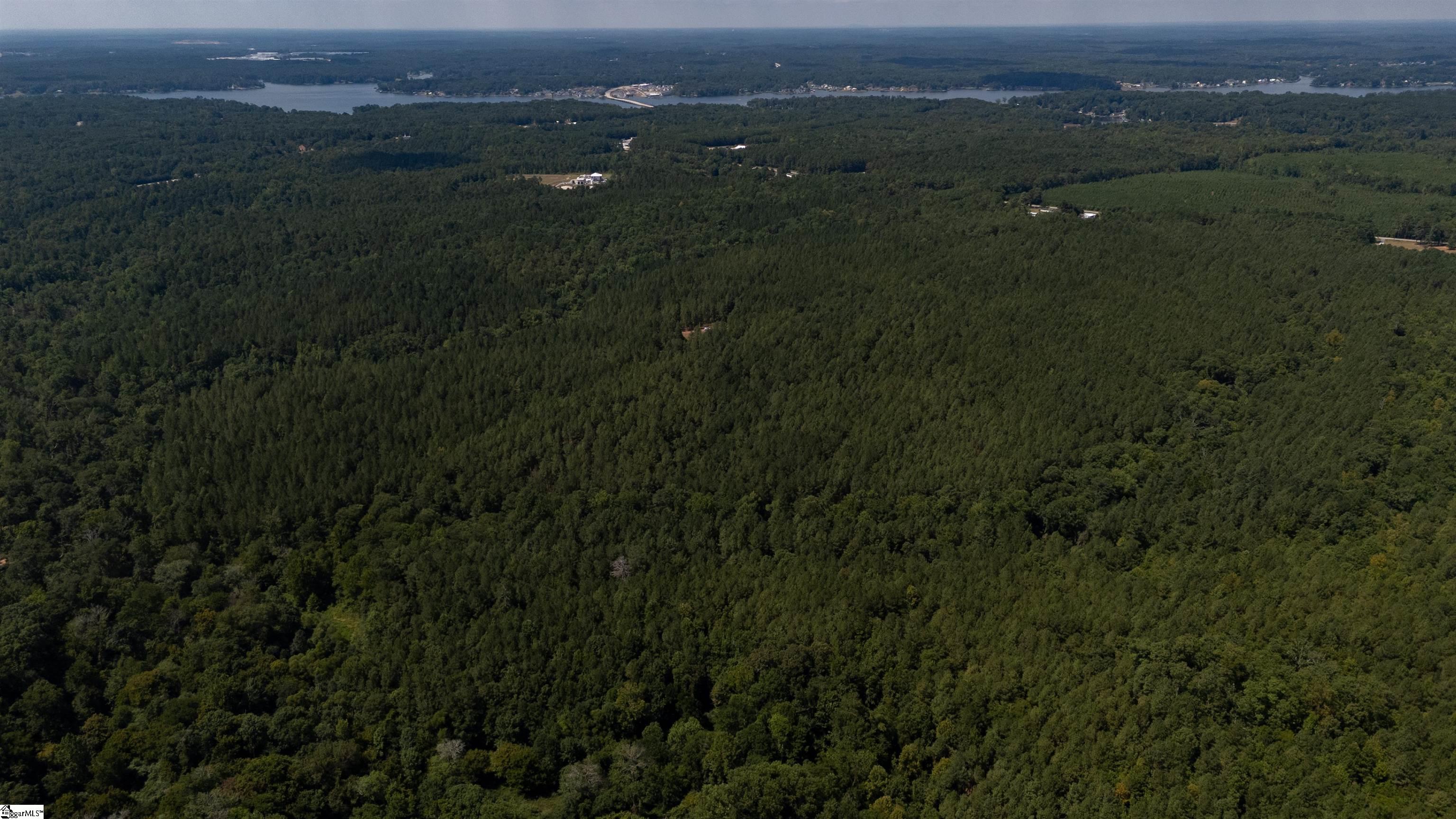 S Highway 221 Waterloo, SC 29384