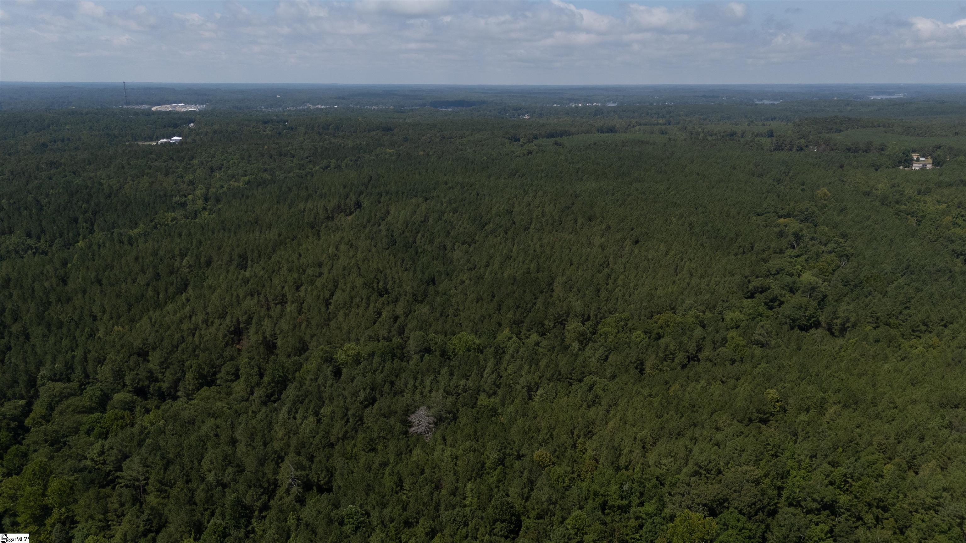 S Highway 221 Waterloo, SC 29384