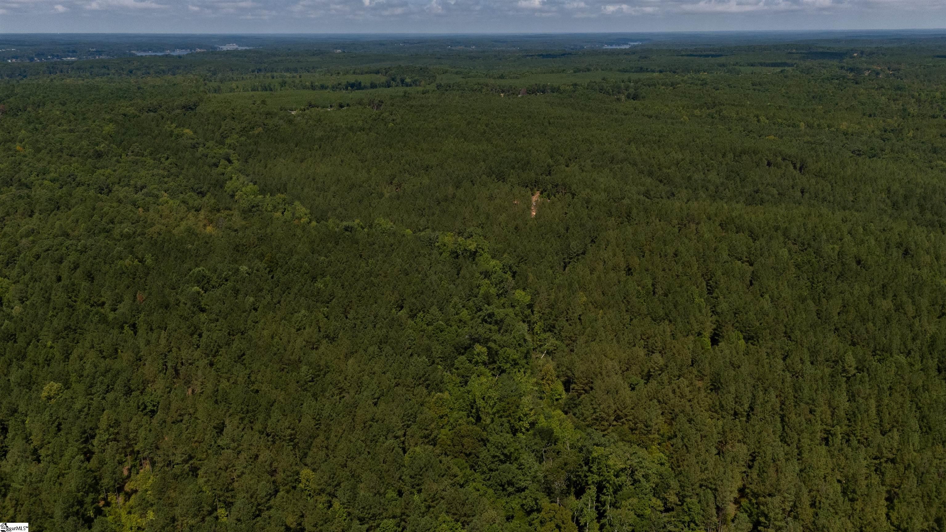 S Highway 221 Waterloo, SC 29384