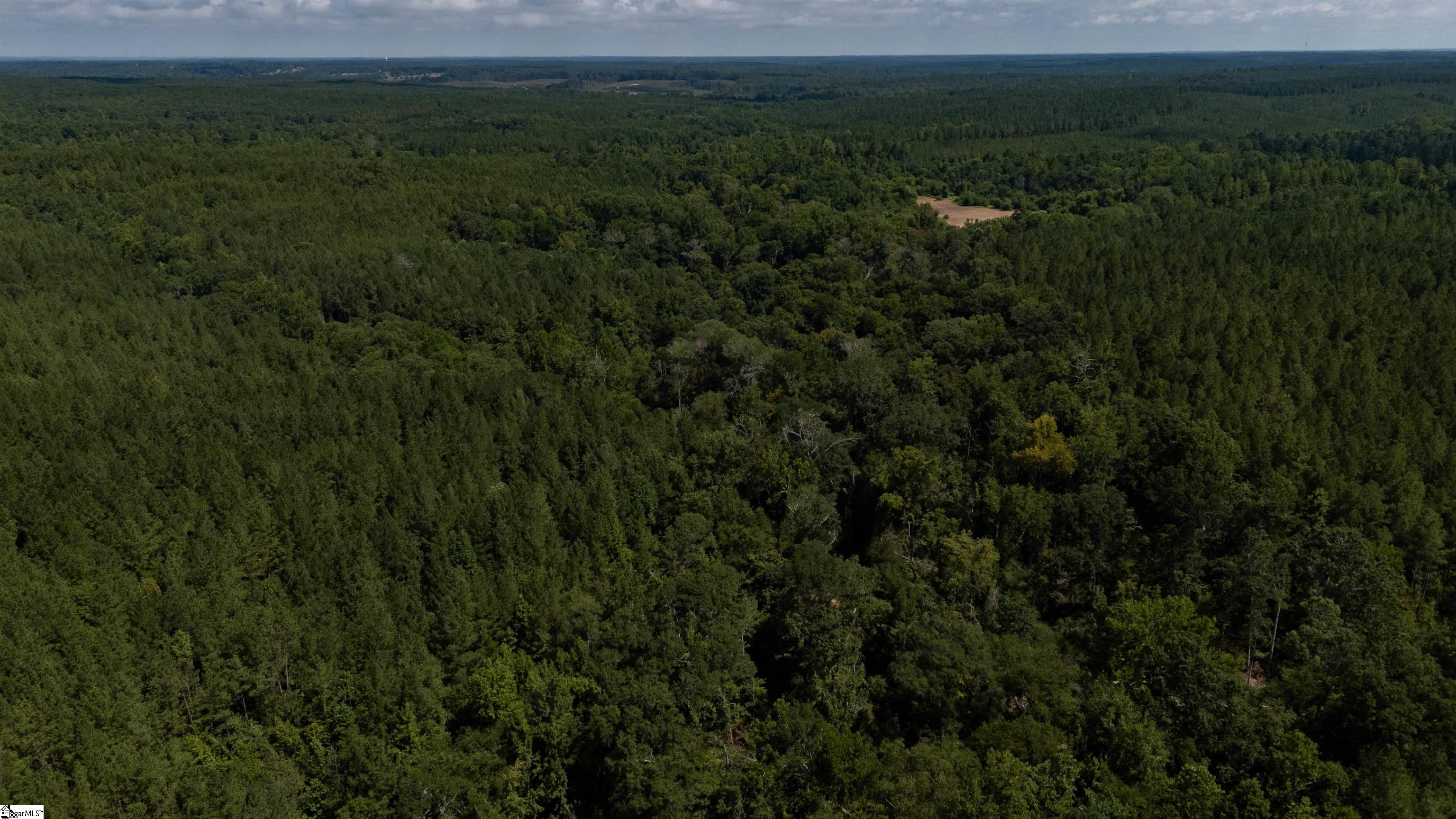 S Highway 221 Waterloo, SC 29384