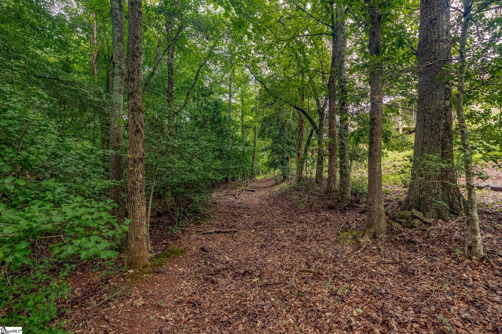 106 Starlight Drive Greenville, SC 29605