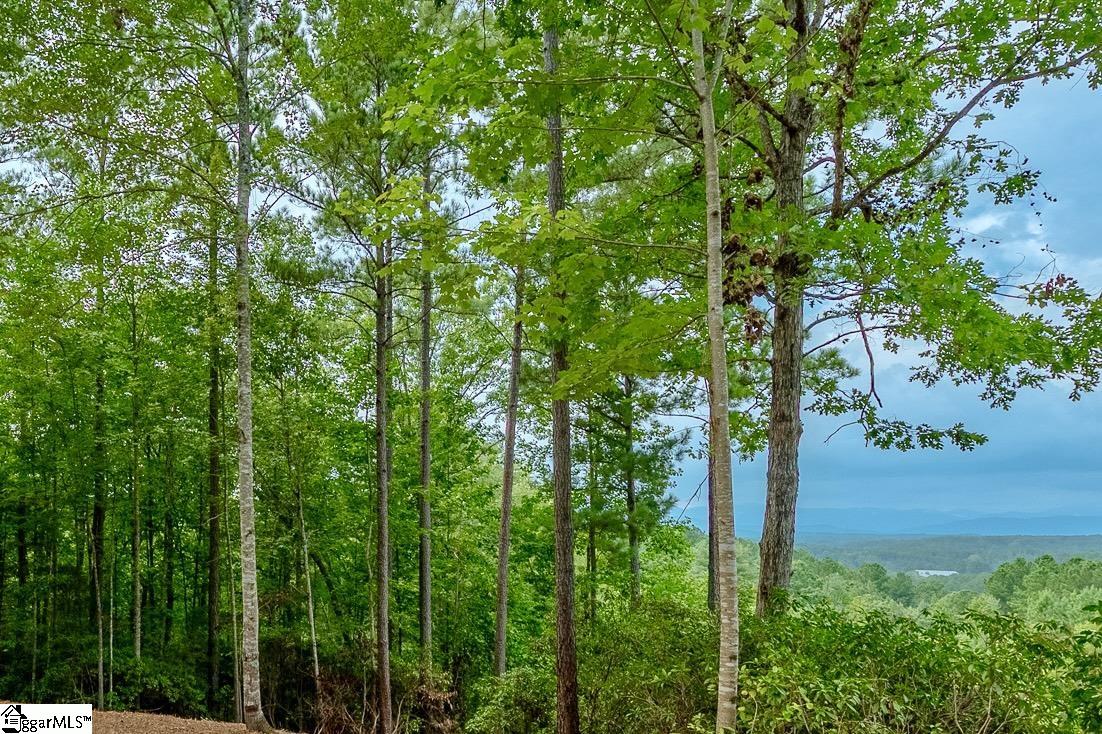 382 Cliffs South Parkway Salem, SC 29676