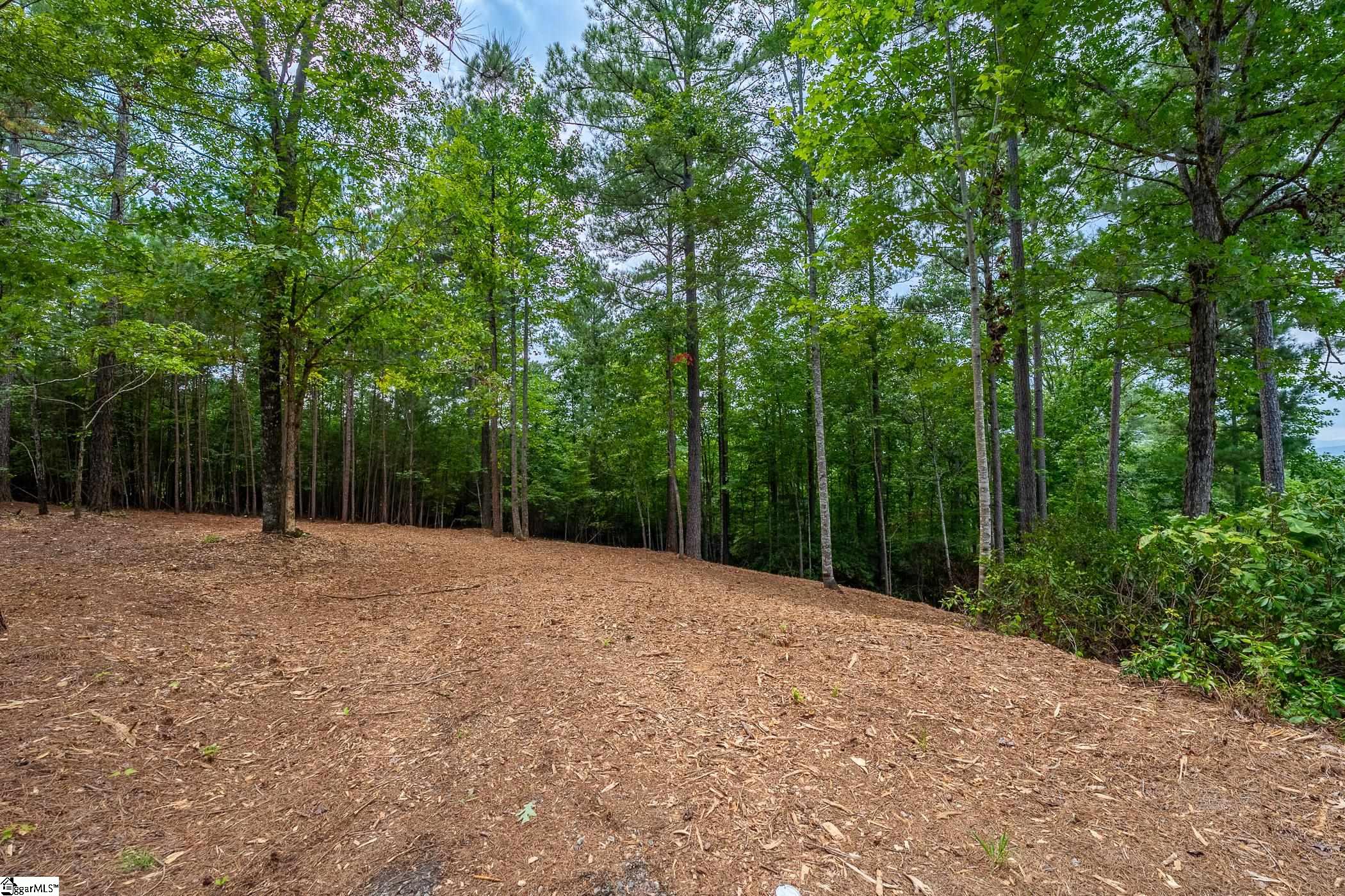 382 Cliffs South Parkway Salem, SC 29676