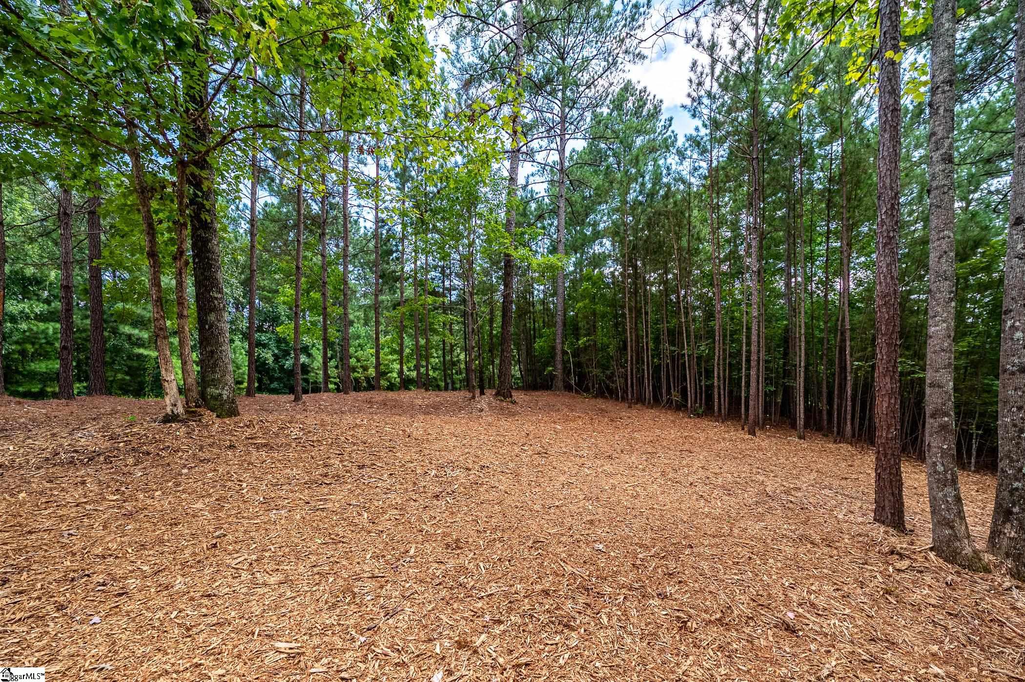 382 Cliffs South Parkway Salem, SC 29676