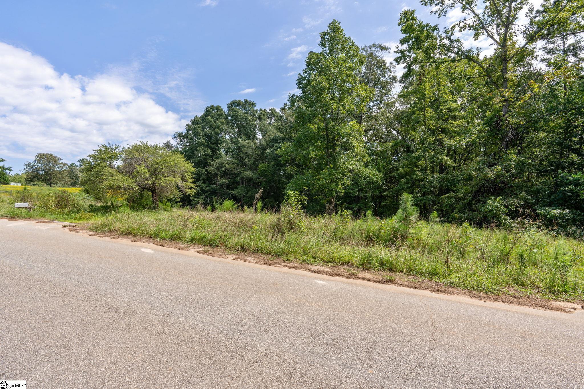 57 Dobbins Ridge Drive Belton, SC 29627