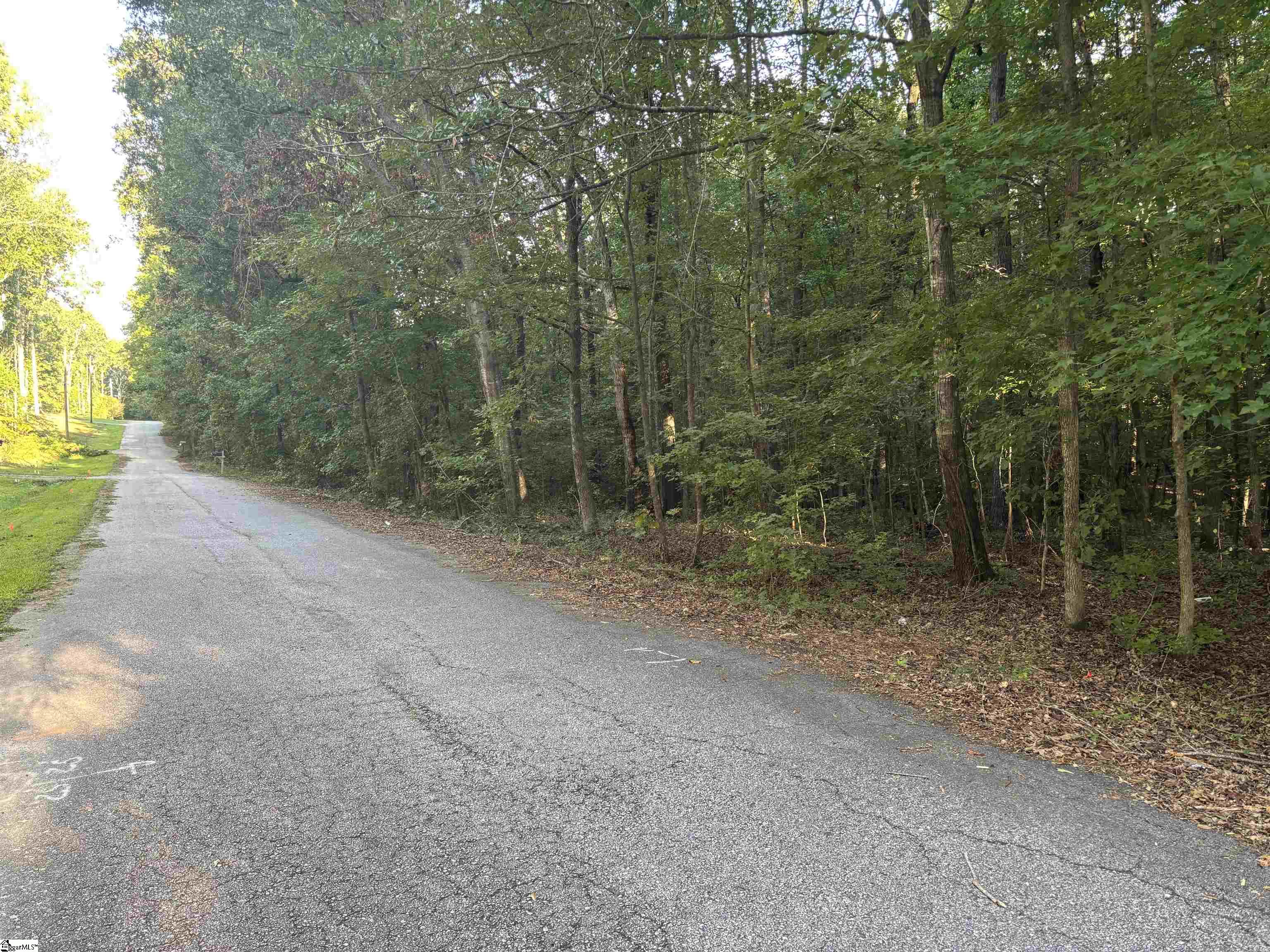 Aeronca Road Belton, SC 29627