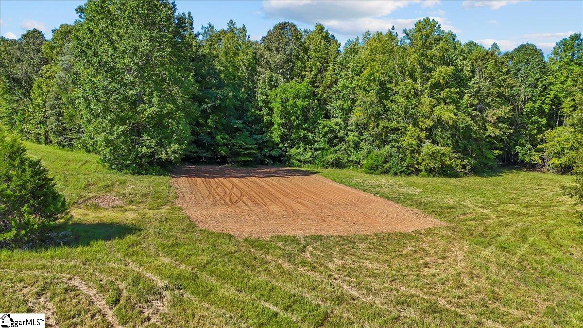 1443 Henderson Road Gray Court, SC 29645