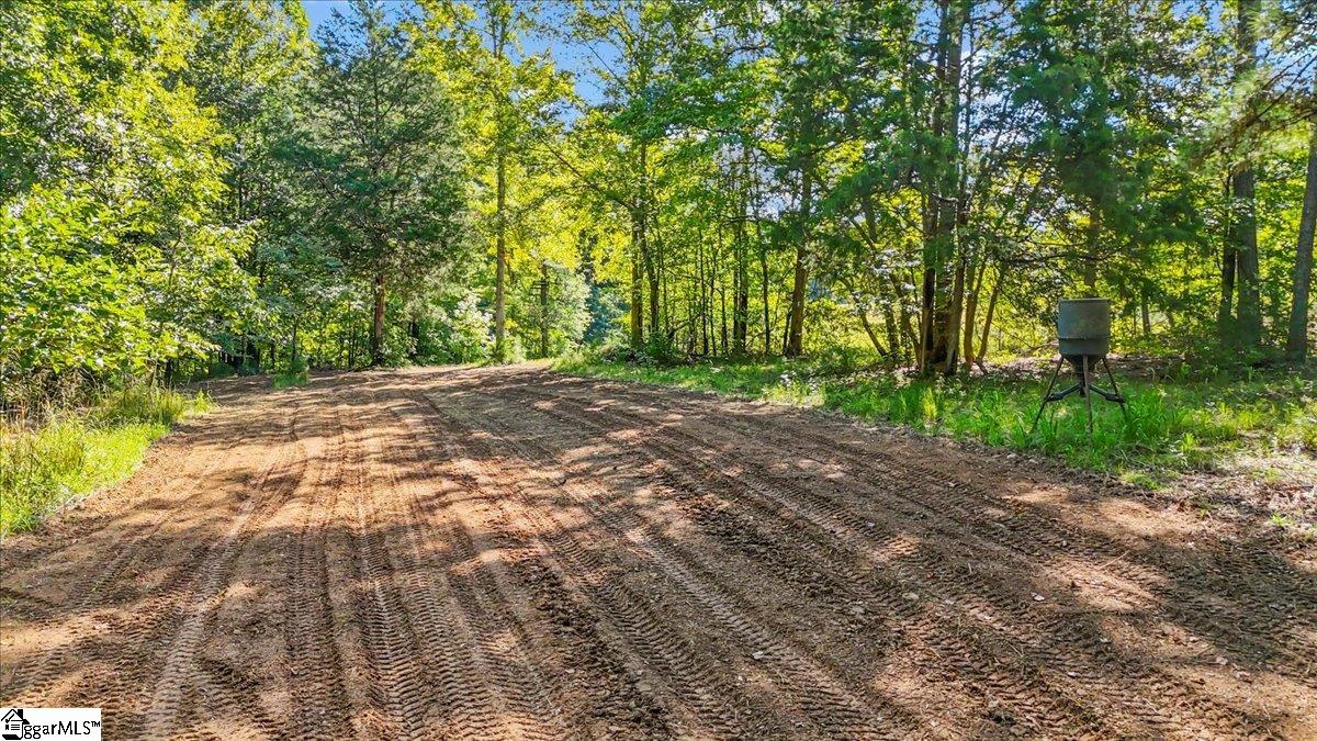 1443 Henderson Road Gray Court, SC 29645