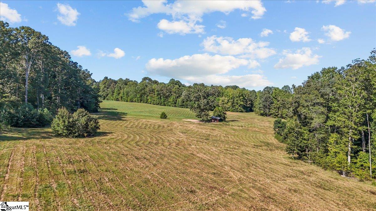 1443 Henderson Road Gray Court, SC 29645