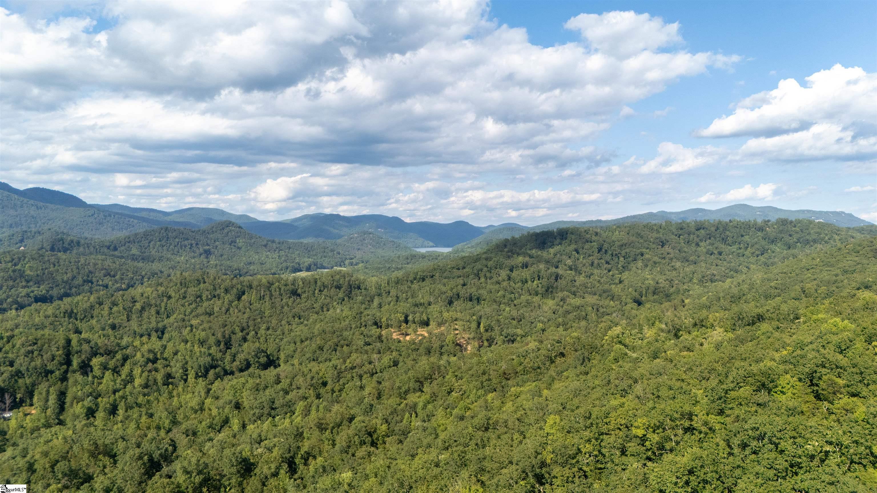 207 Luberon Lane Travelers Rest, SC 29690