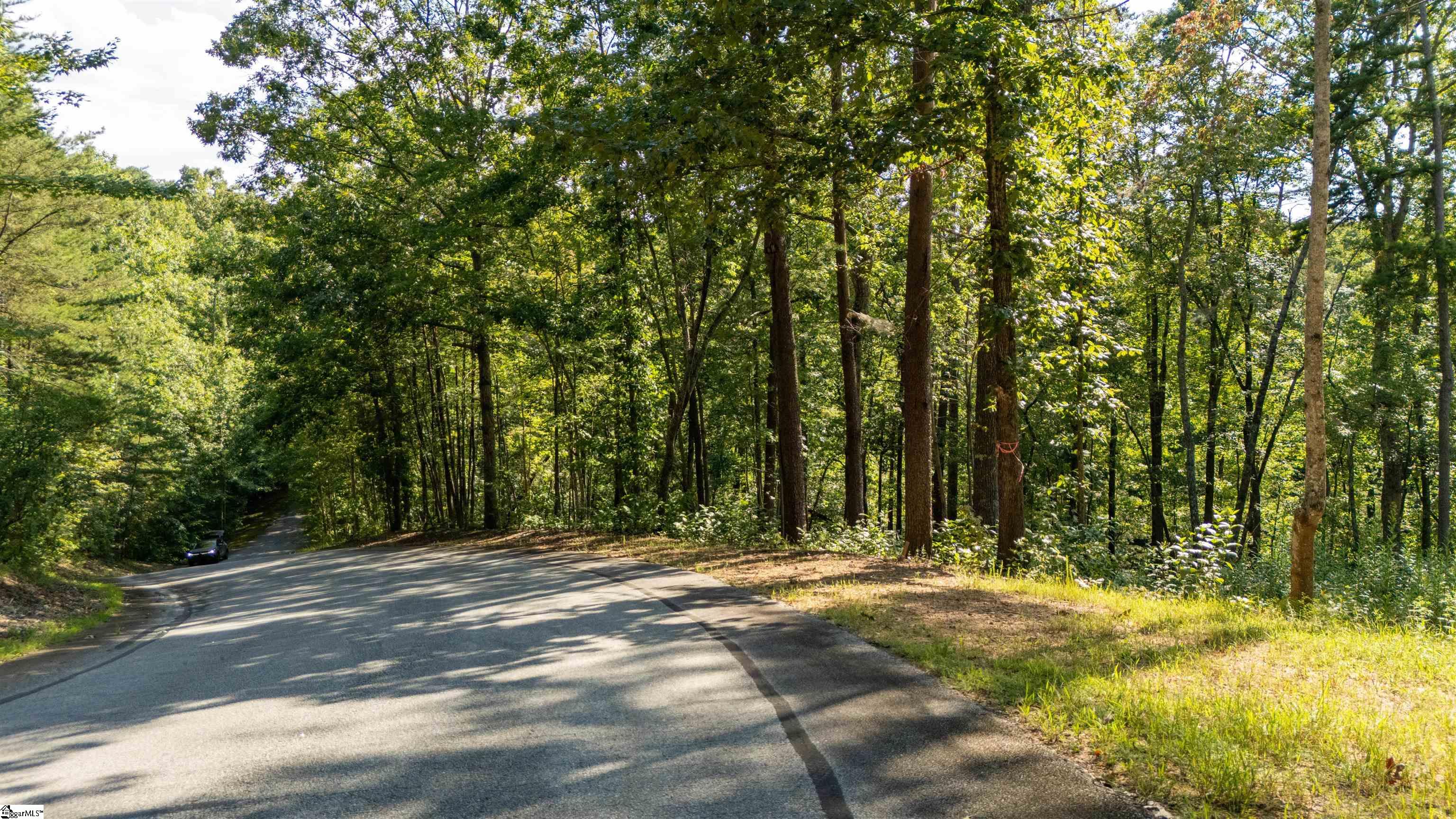 207 Luberon Lane Travelers Rest, SC 29690