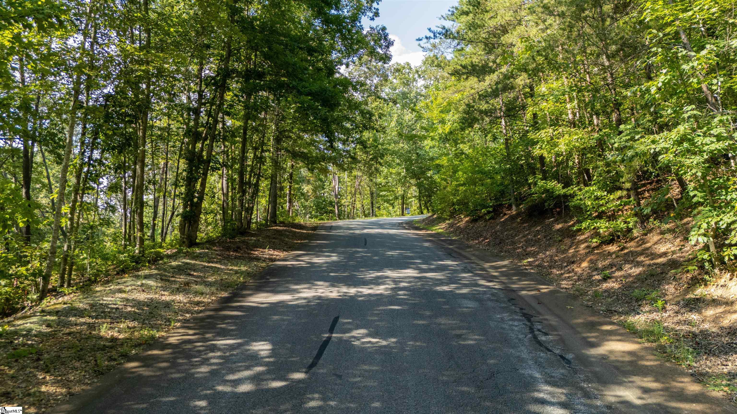 207 Luberon Lane Travelers Rest, SC 29690
