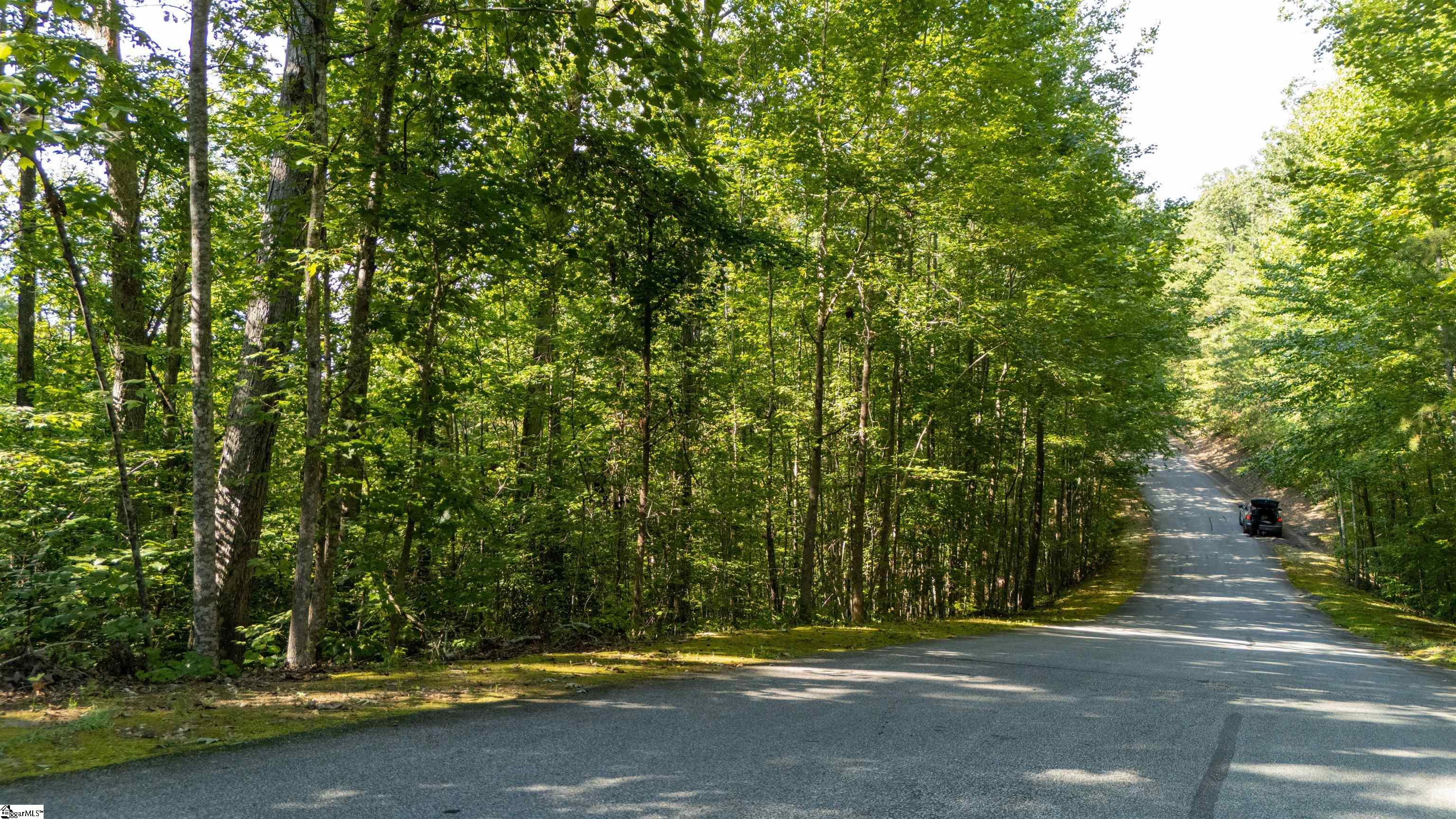 207 Luberon Lane Travelers Rest, SC 29690
