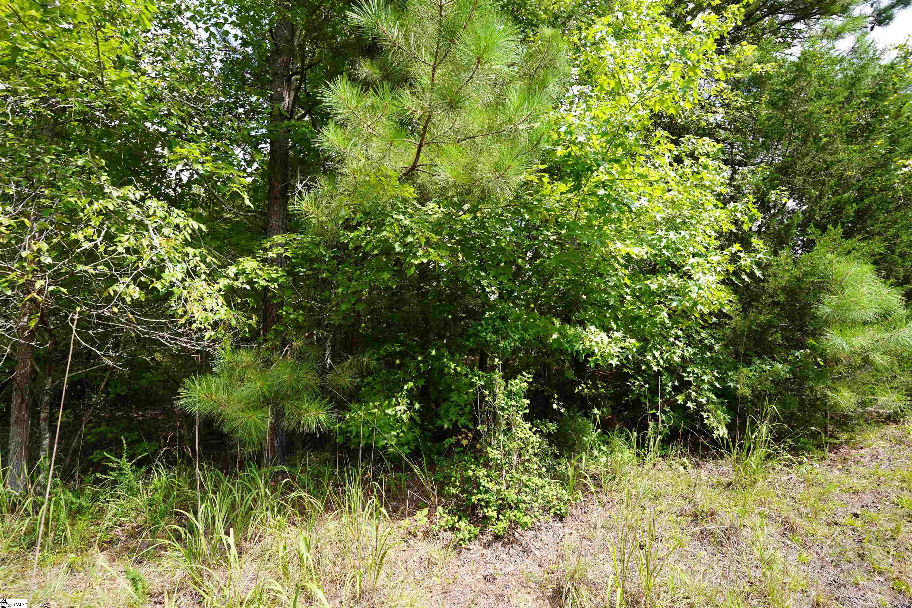 00 Cricket Lane Pacolet, SC 29372
