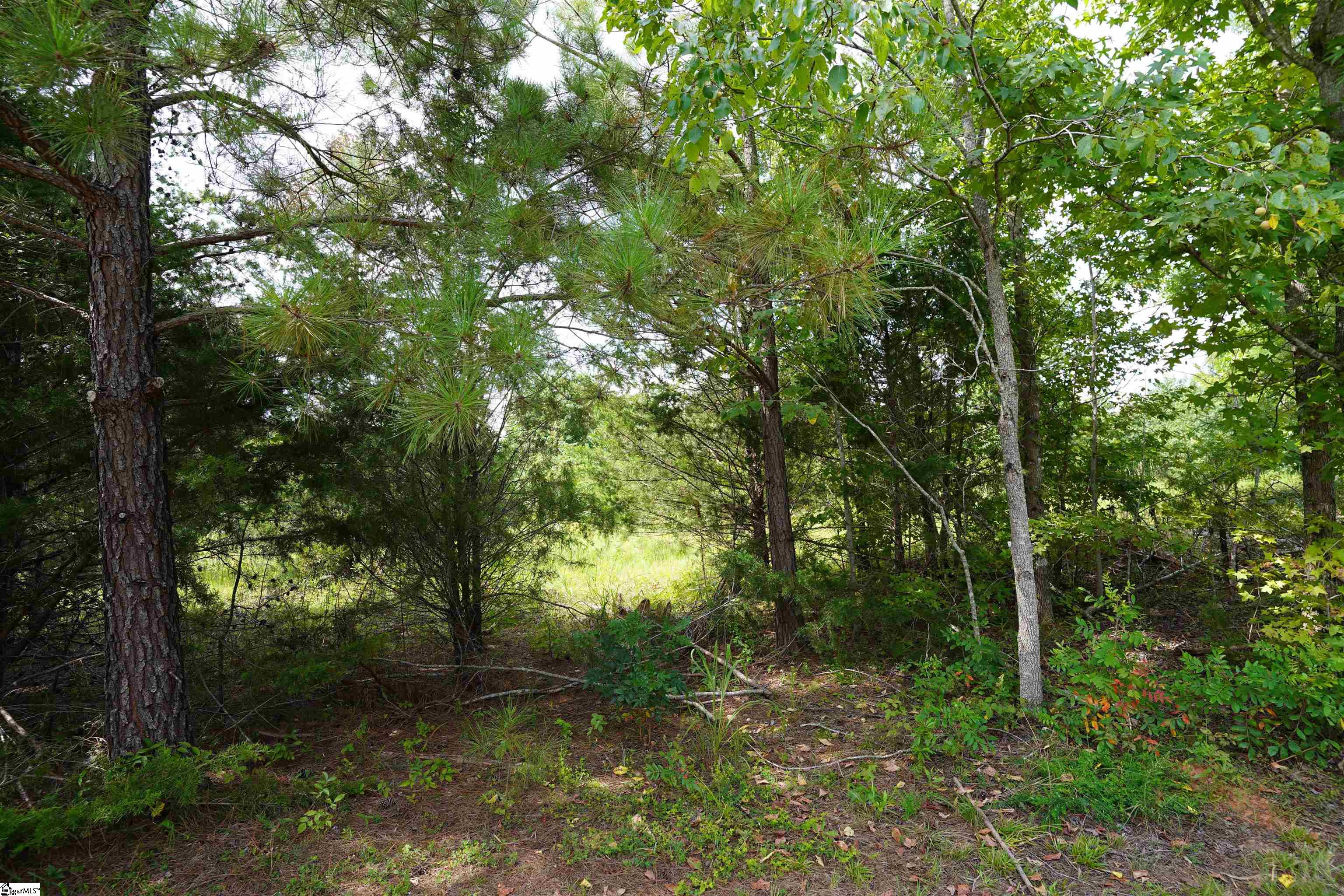 00 Cricket Lane Pacolet, SC 29372