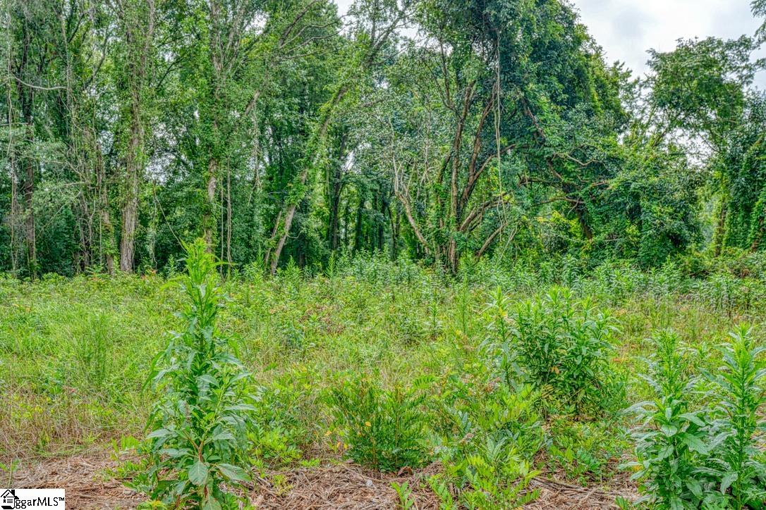 530 Wildwood Drive Spartanburg, SC 29306