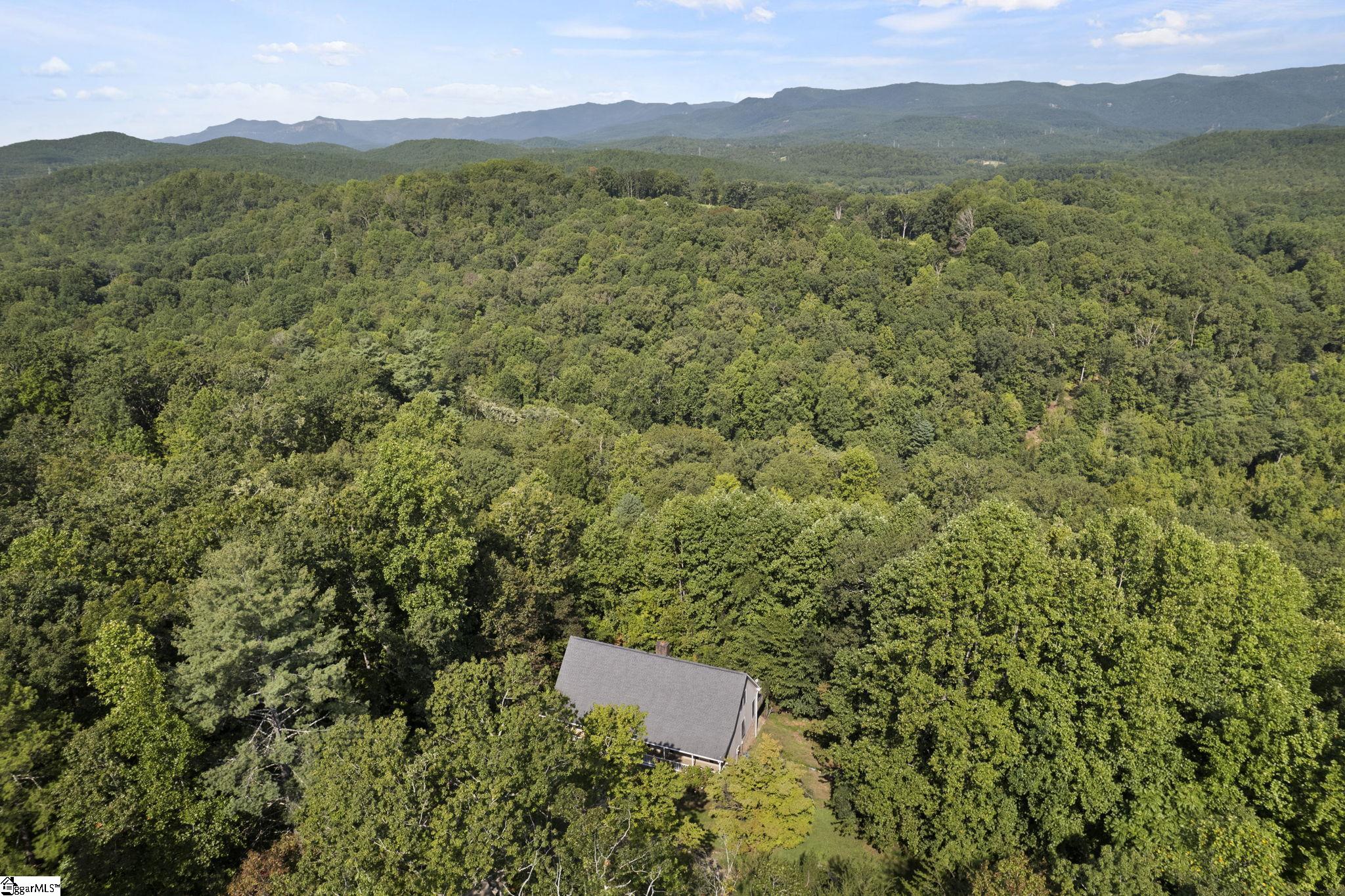 285 Wild Azalea Lane Marietta, SC 29661-9280