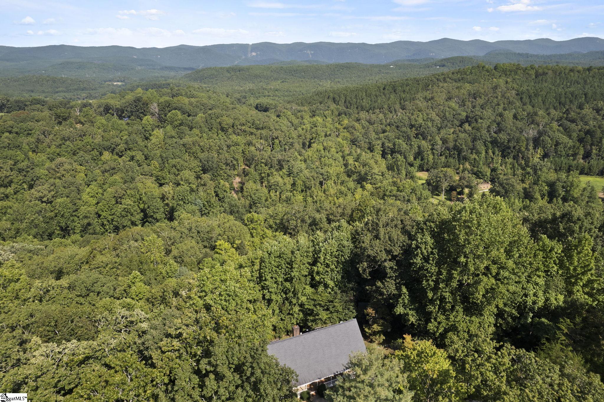 285 Wild Azalea Lane Marietta, SC 29661-9280