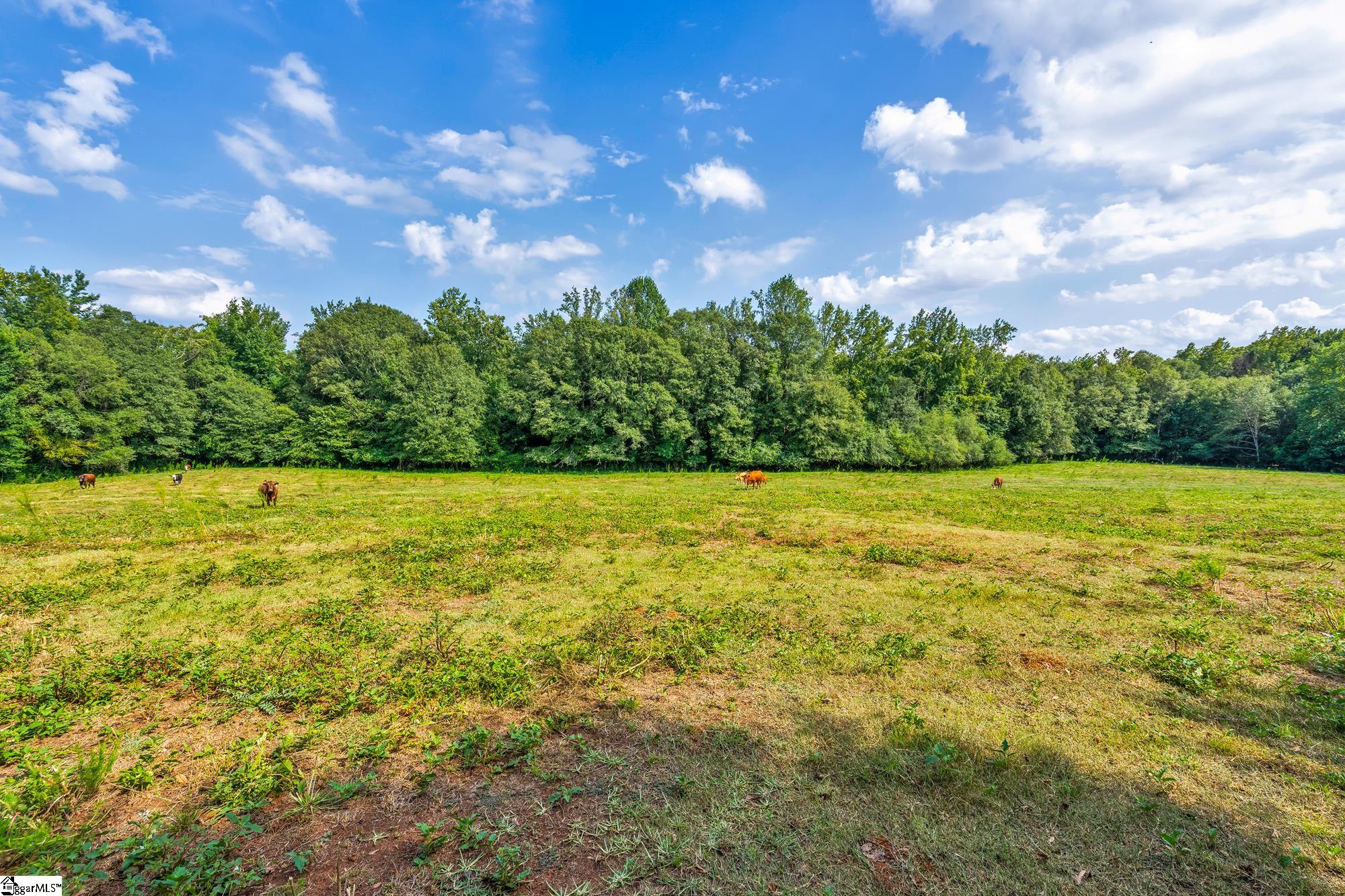 143 George Merck Road Anderson, SC 29626