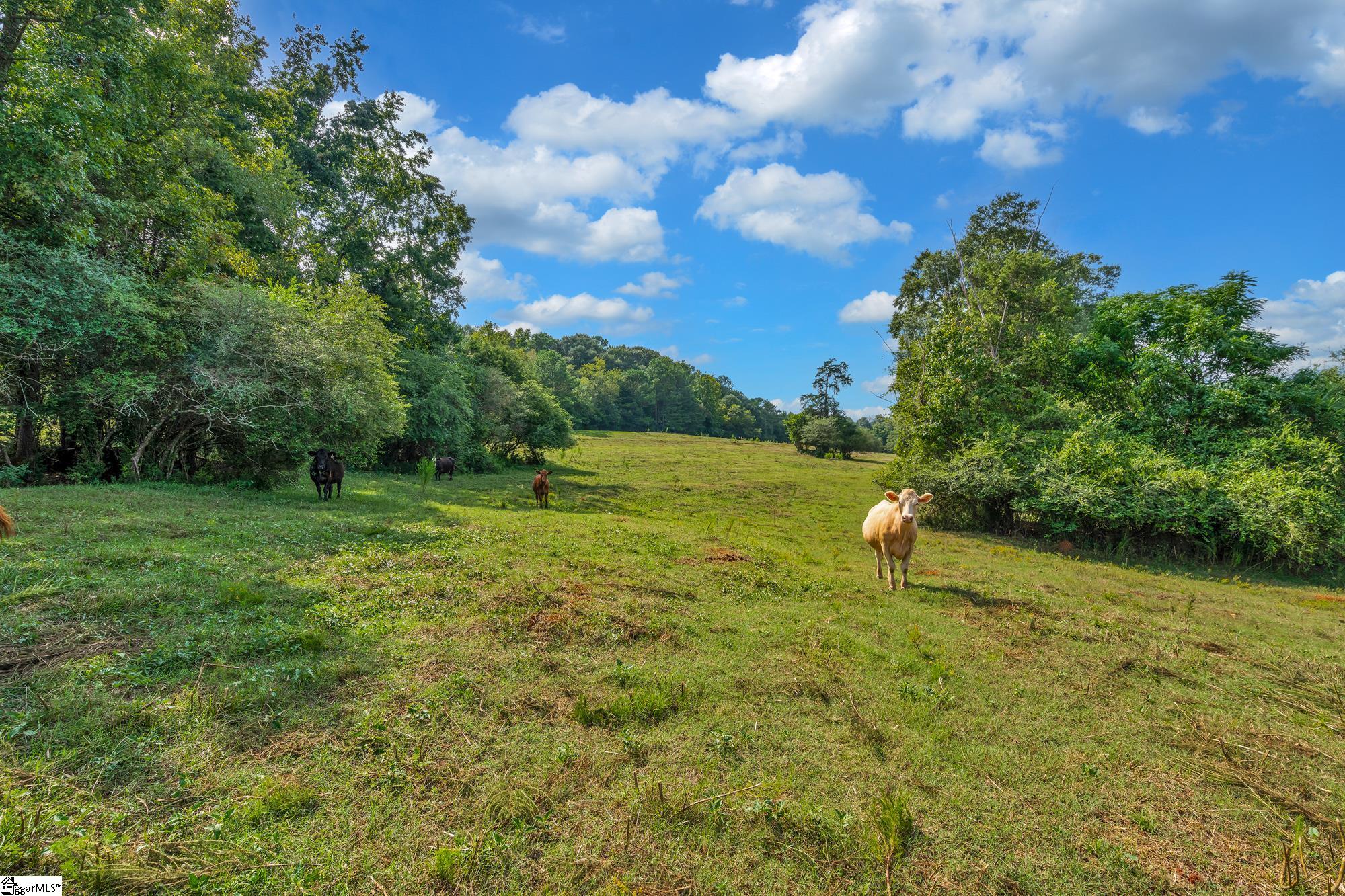 143 George Merck Road Anderson, SC 29626